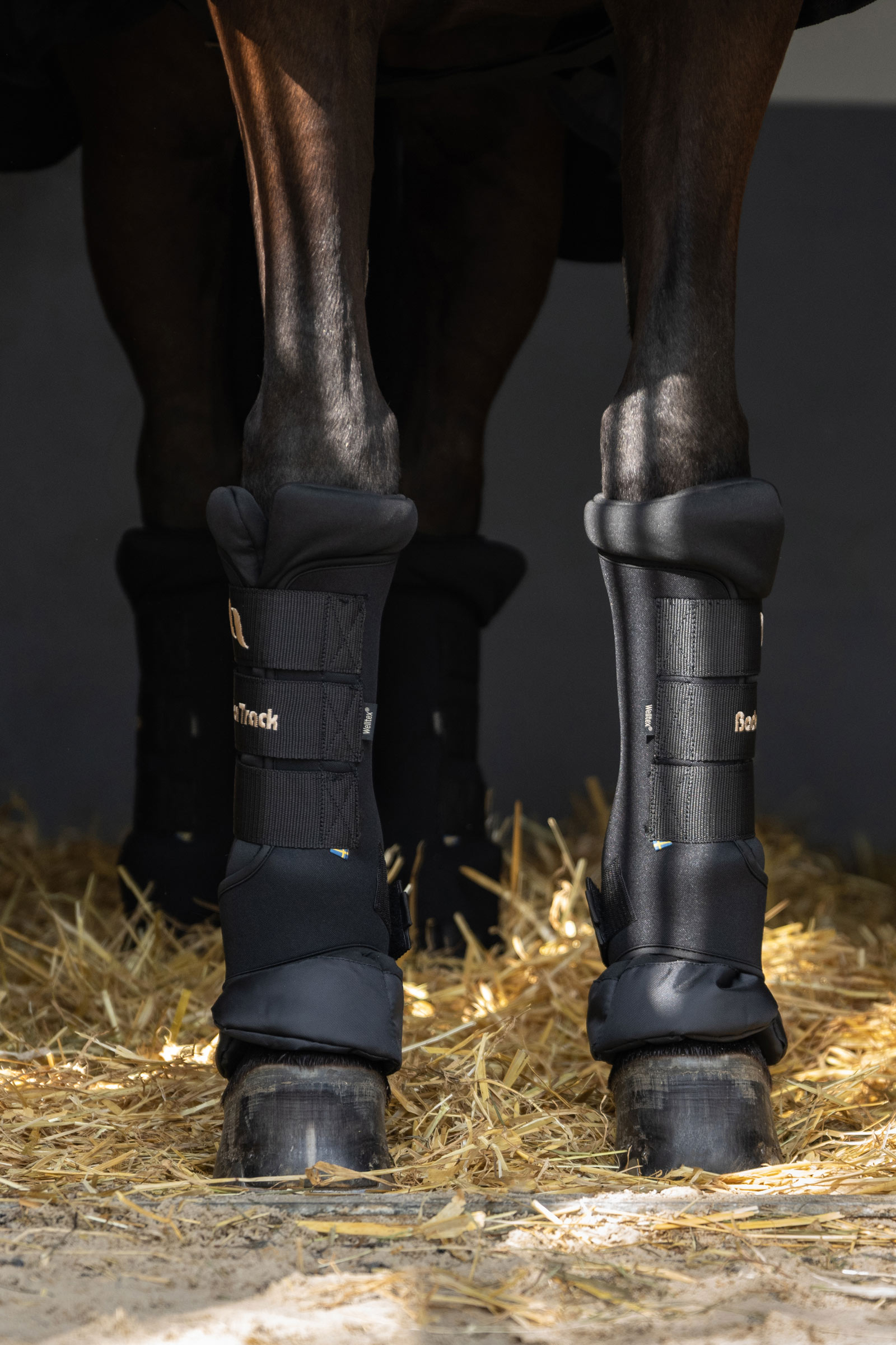 Paños rápidos Back on Track Royal