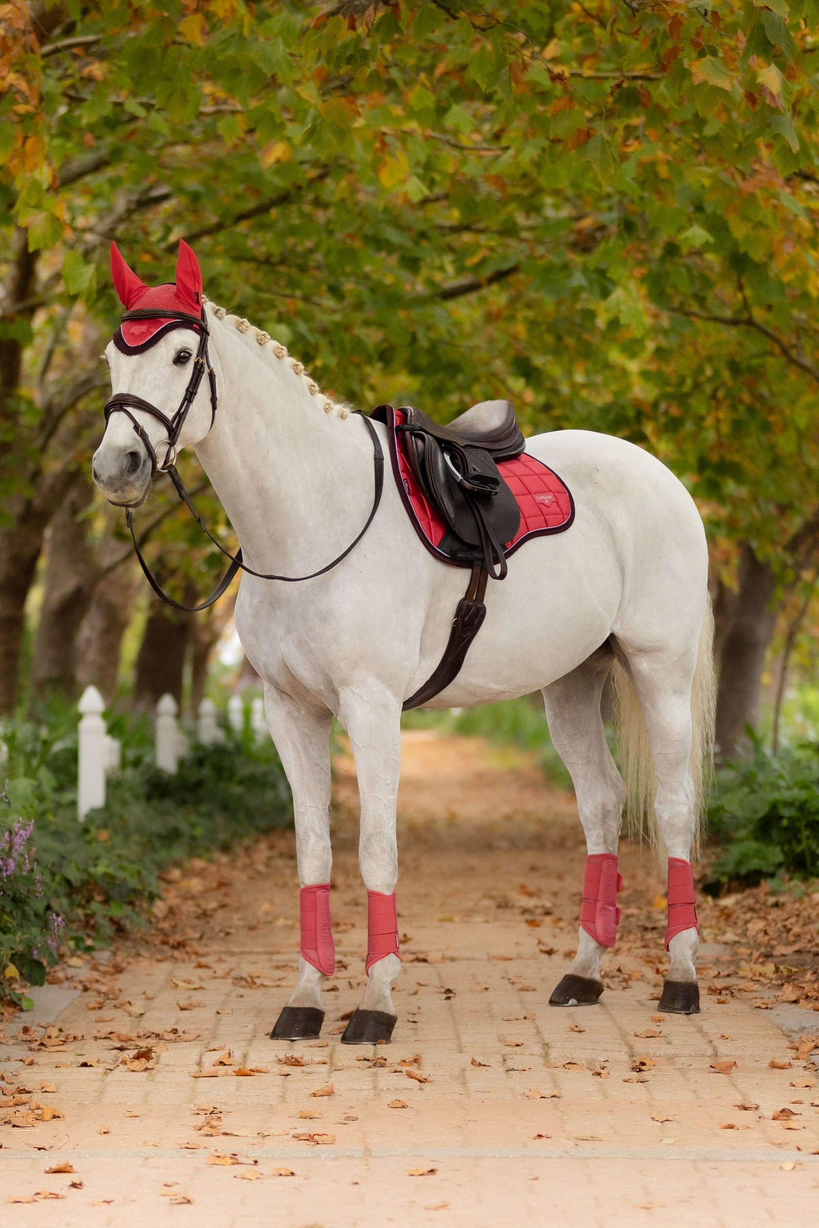 LeMieux Loire Classic Square mantilla de uso general