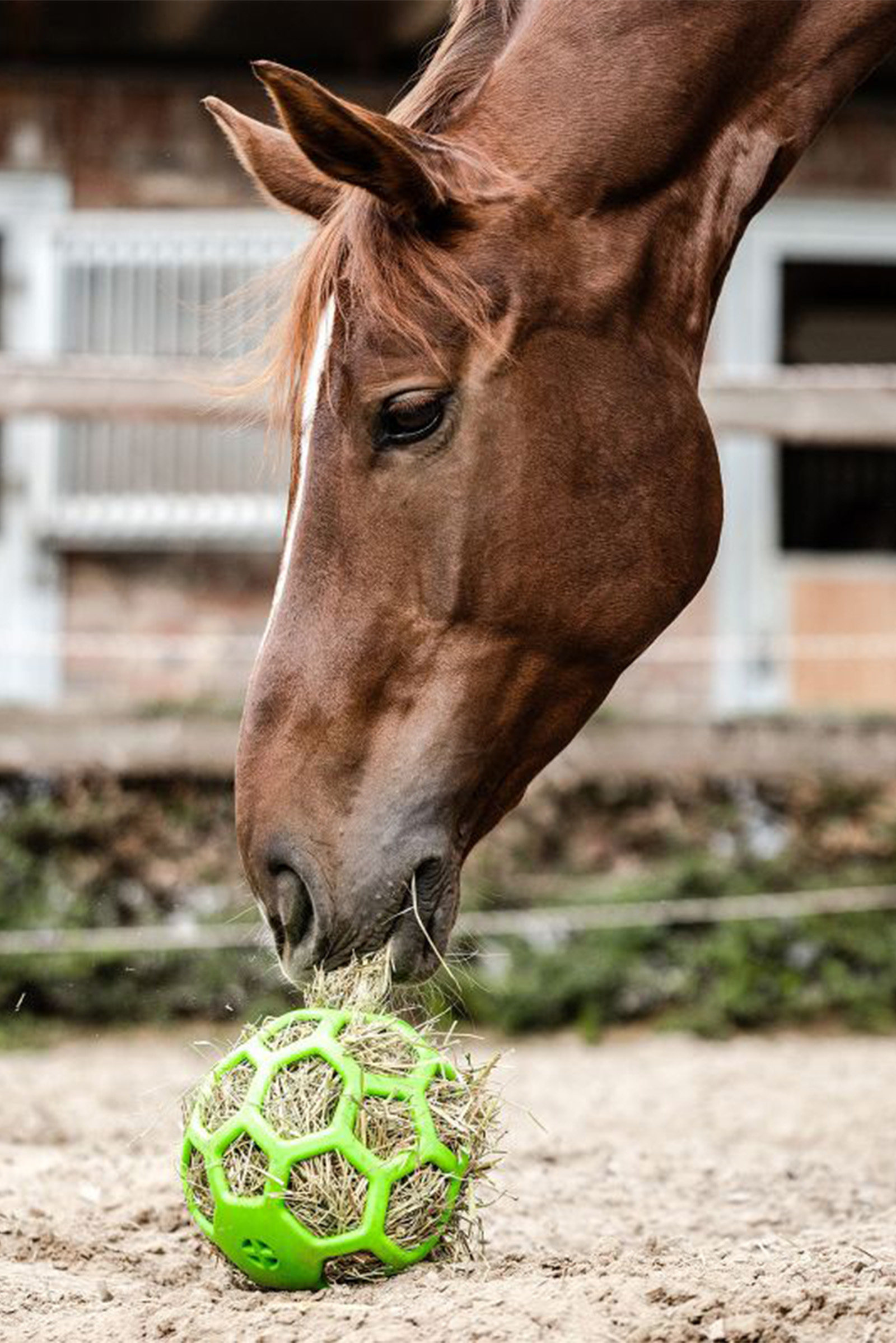 Pelota de heno Waldhausen