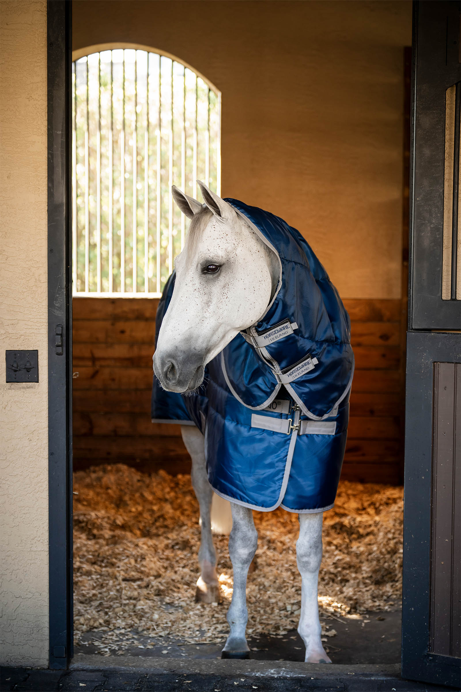 Horseware Amigo Ripstop Insulator Plus manta de cuadra, 350 g