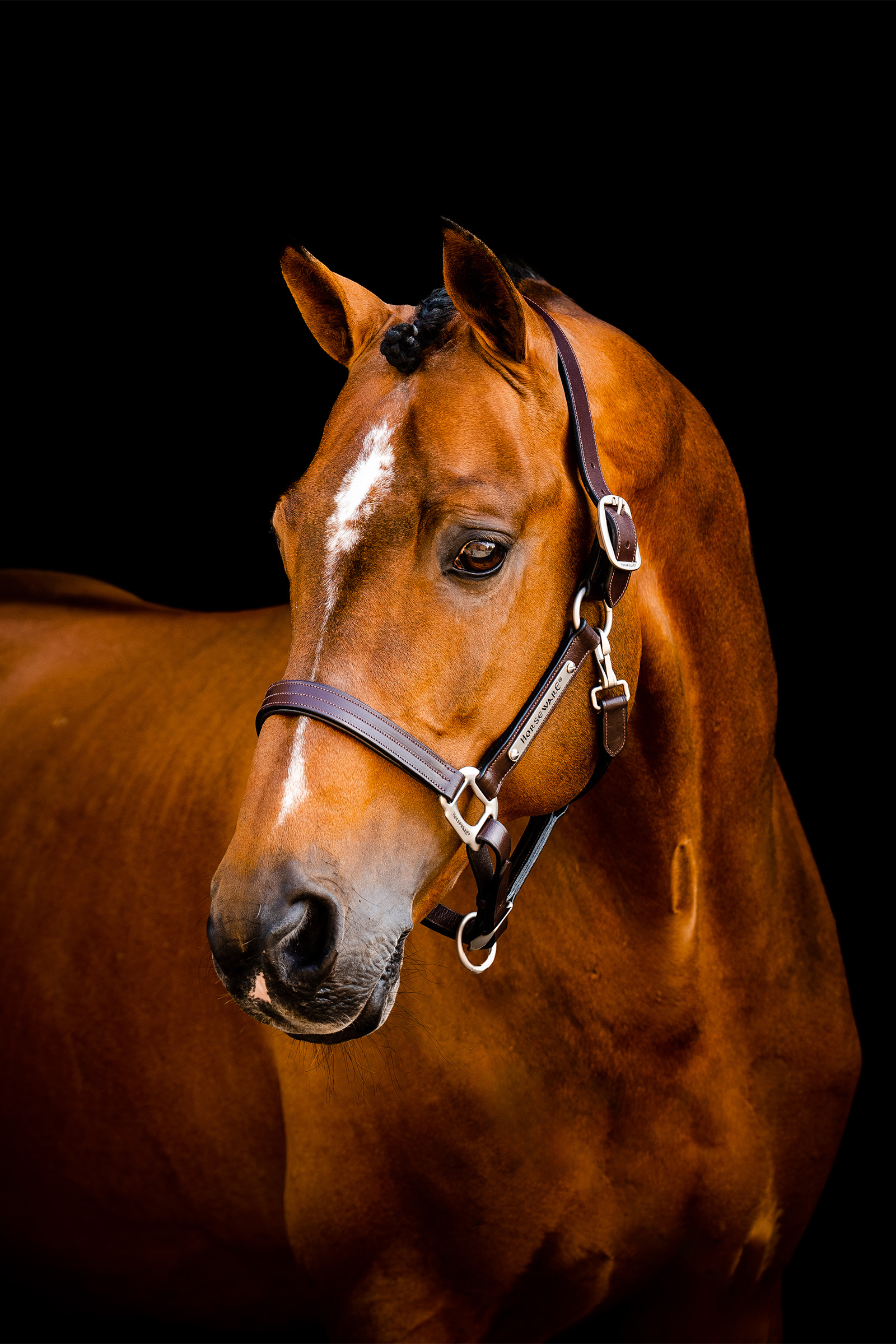 Cabestro de cuero Horseware Signature