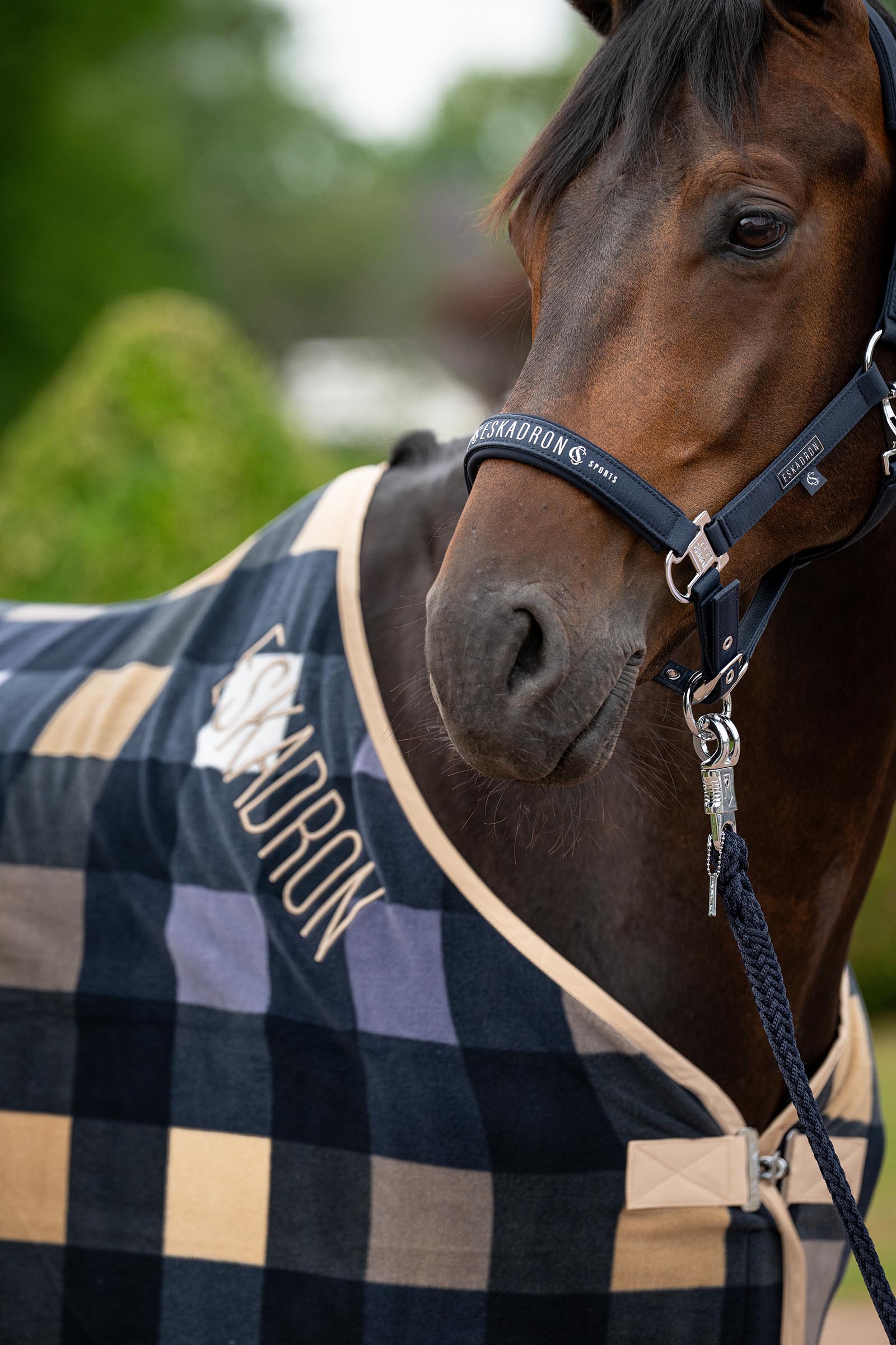 Eskadron Classic Sport SS26 Fleece Check manta secante