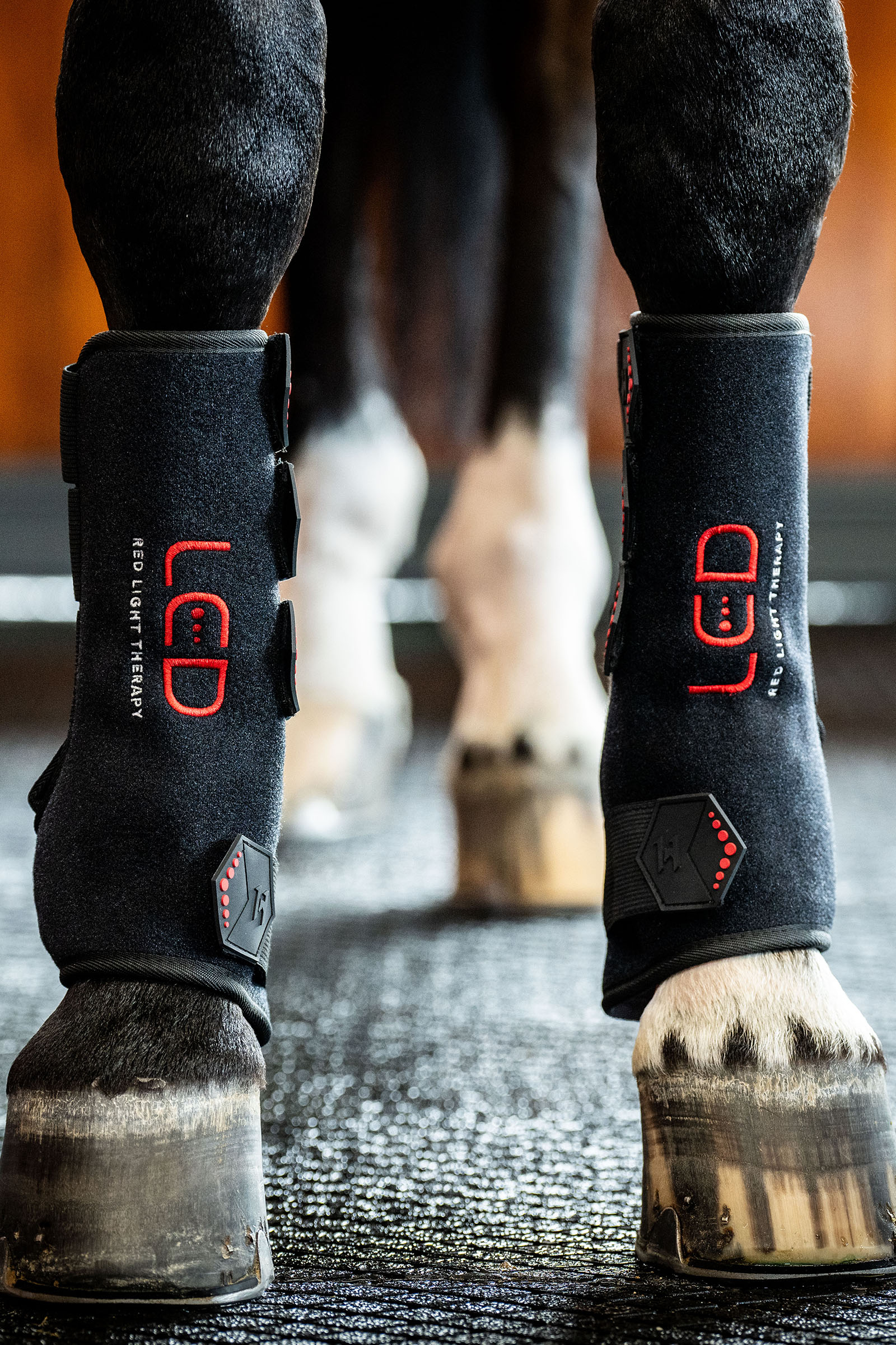 Horseware protector terap&eacute;utico LED de luz roja (1 ud.)