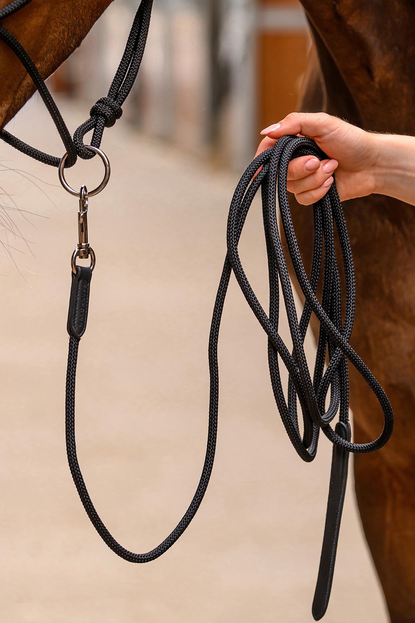 Waldhausen cabestro de cuerda con anilla m&oacute;vil