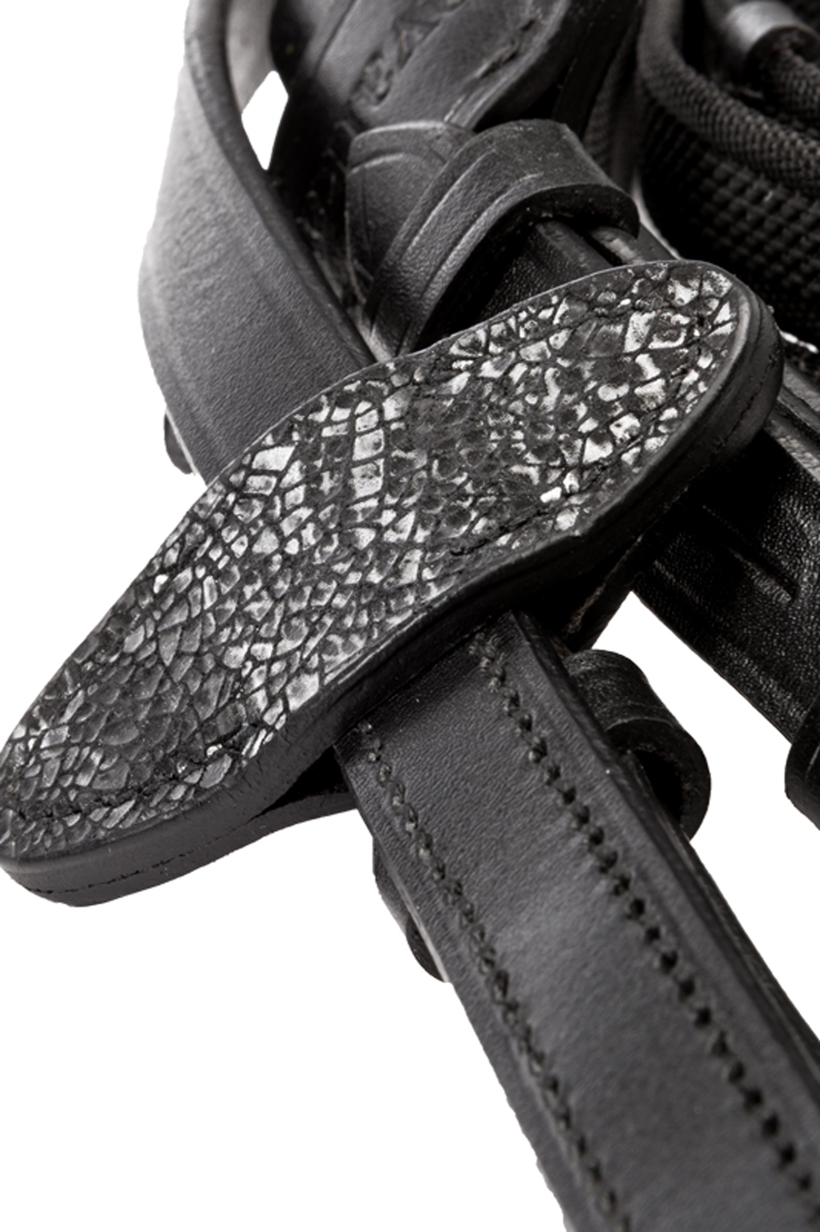 Kavalkade Victoria Cabezada