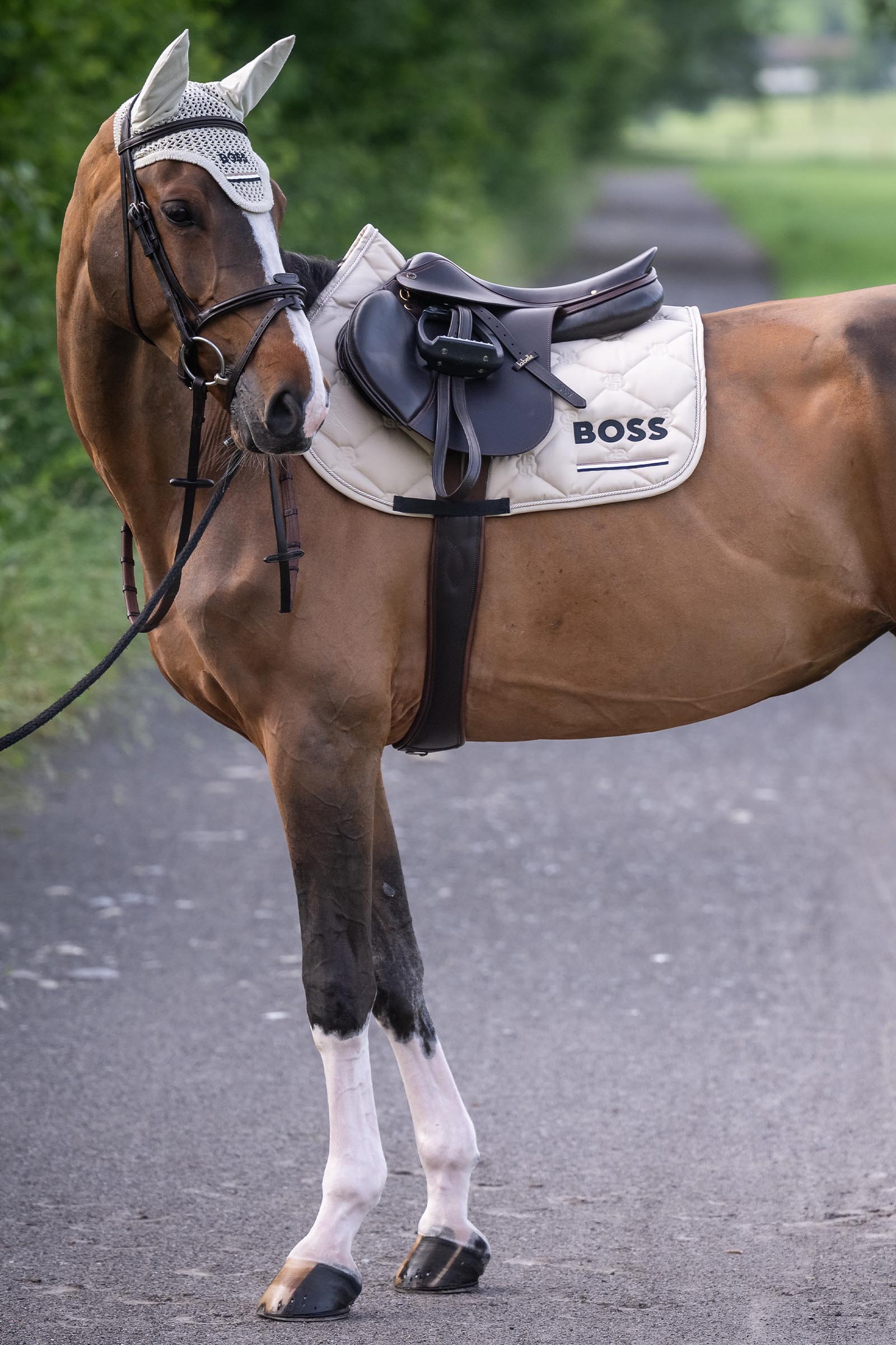 Boss Cheltenham mantilla salto