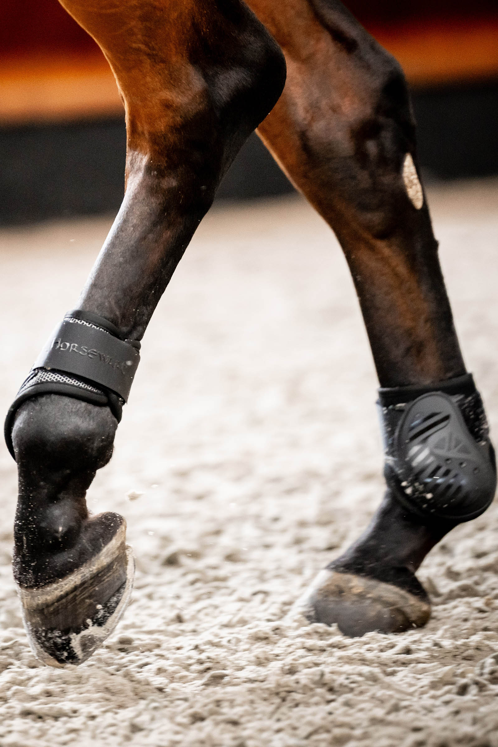 Horseware Pro Bamboo protectores de menudillo