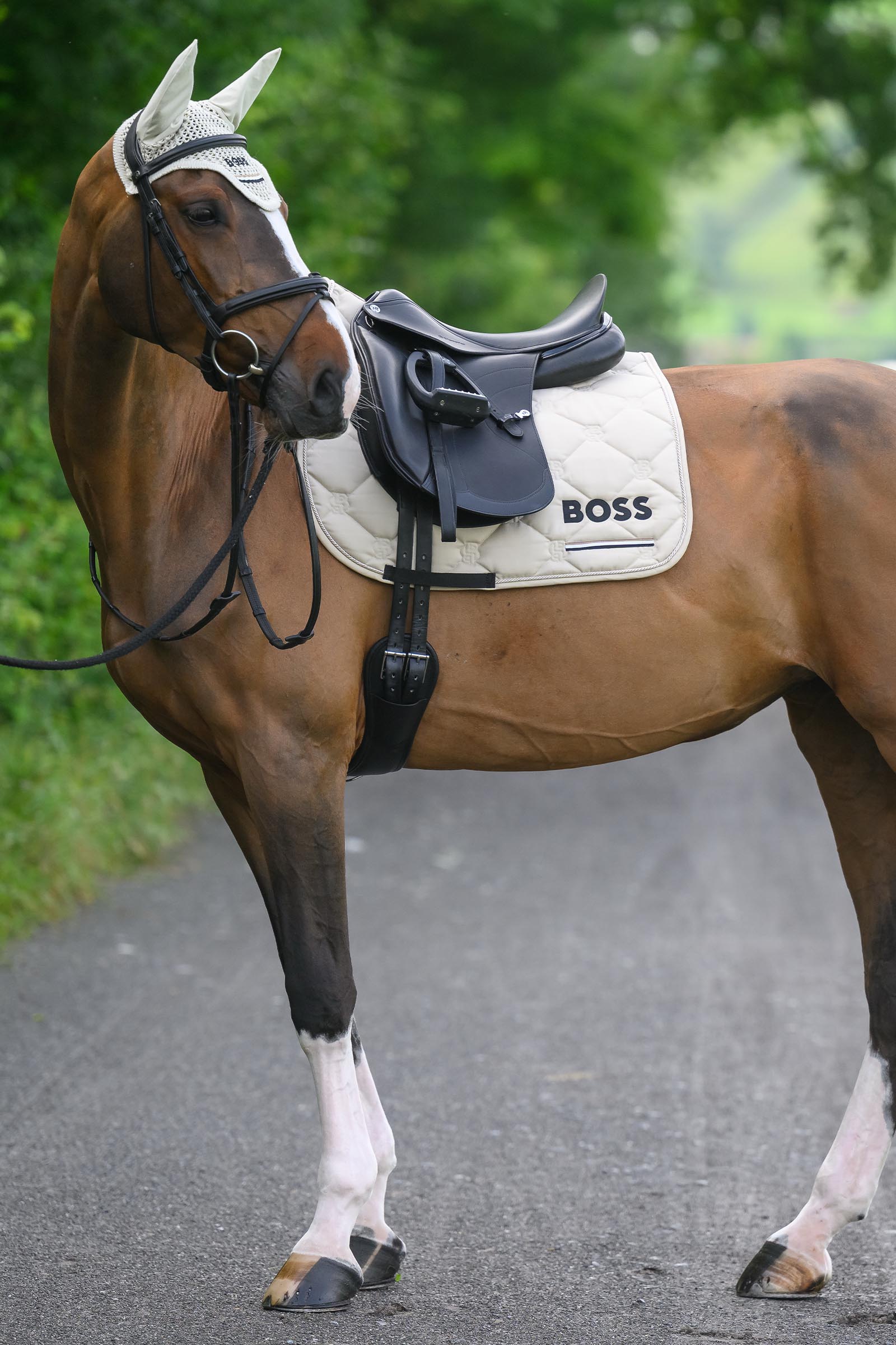 Boss Cambridge mantilla doma