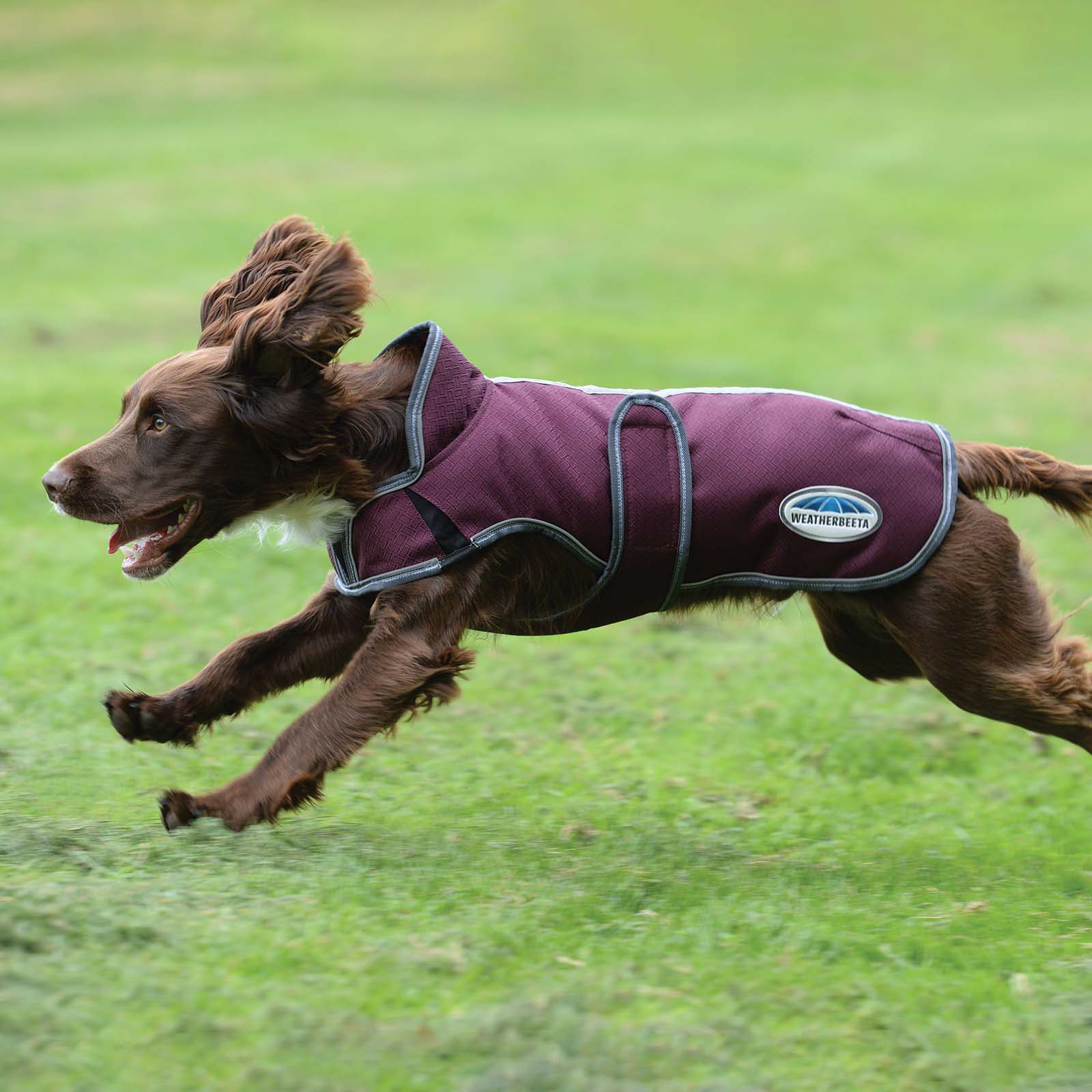 Abrigo para Perro Weatherbeeta Comfitec Premier Free Parka Deluxe, 220g