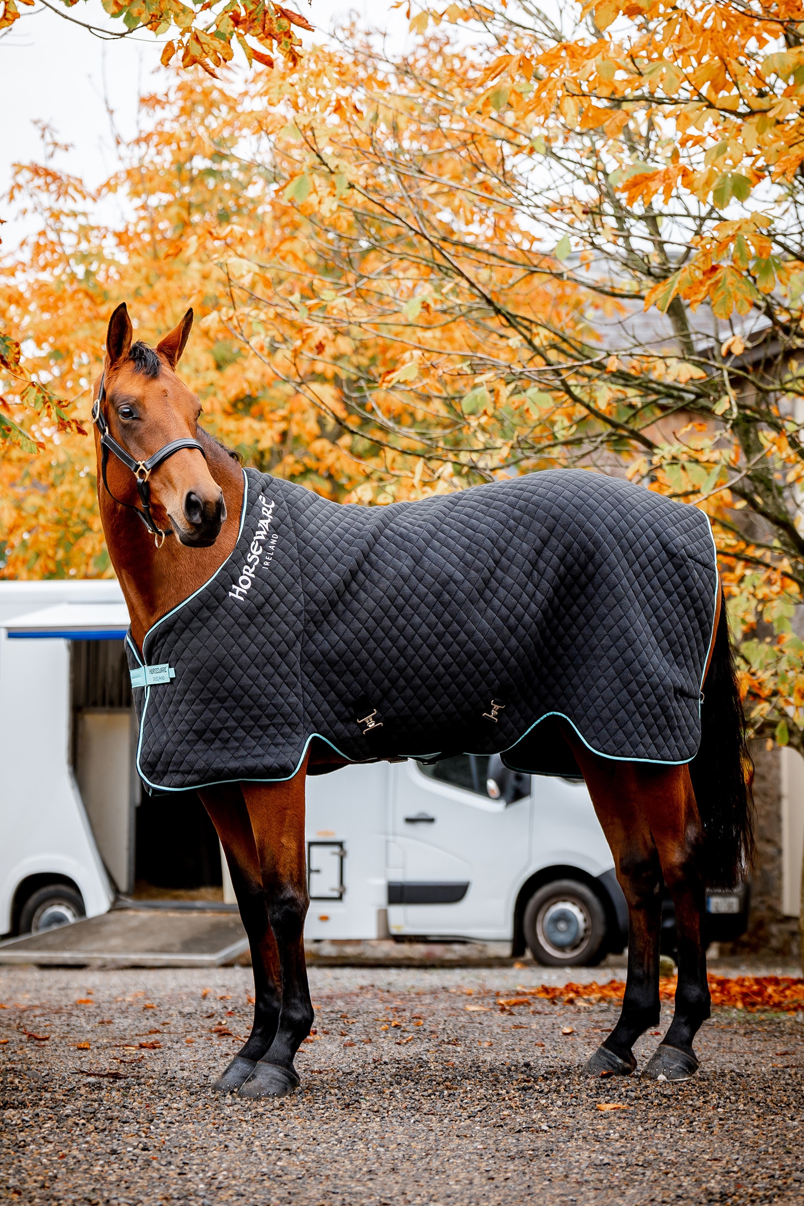 Manta de Secado para Otoño Horseware