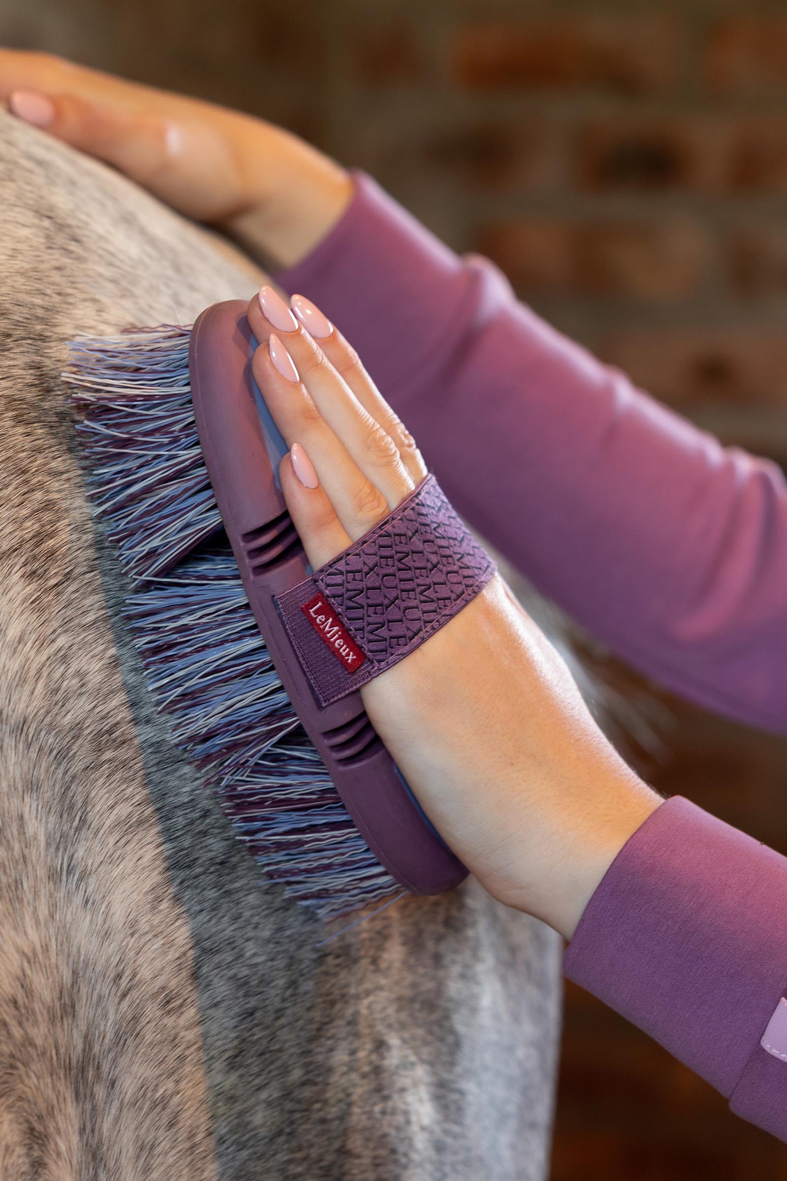 LeMieux Flexi Flicky cepillo