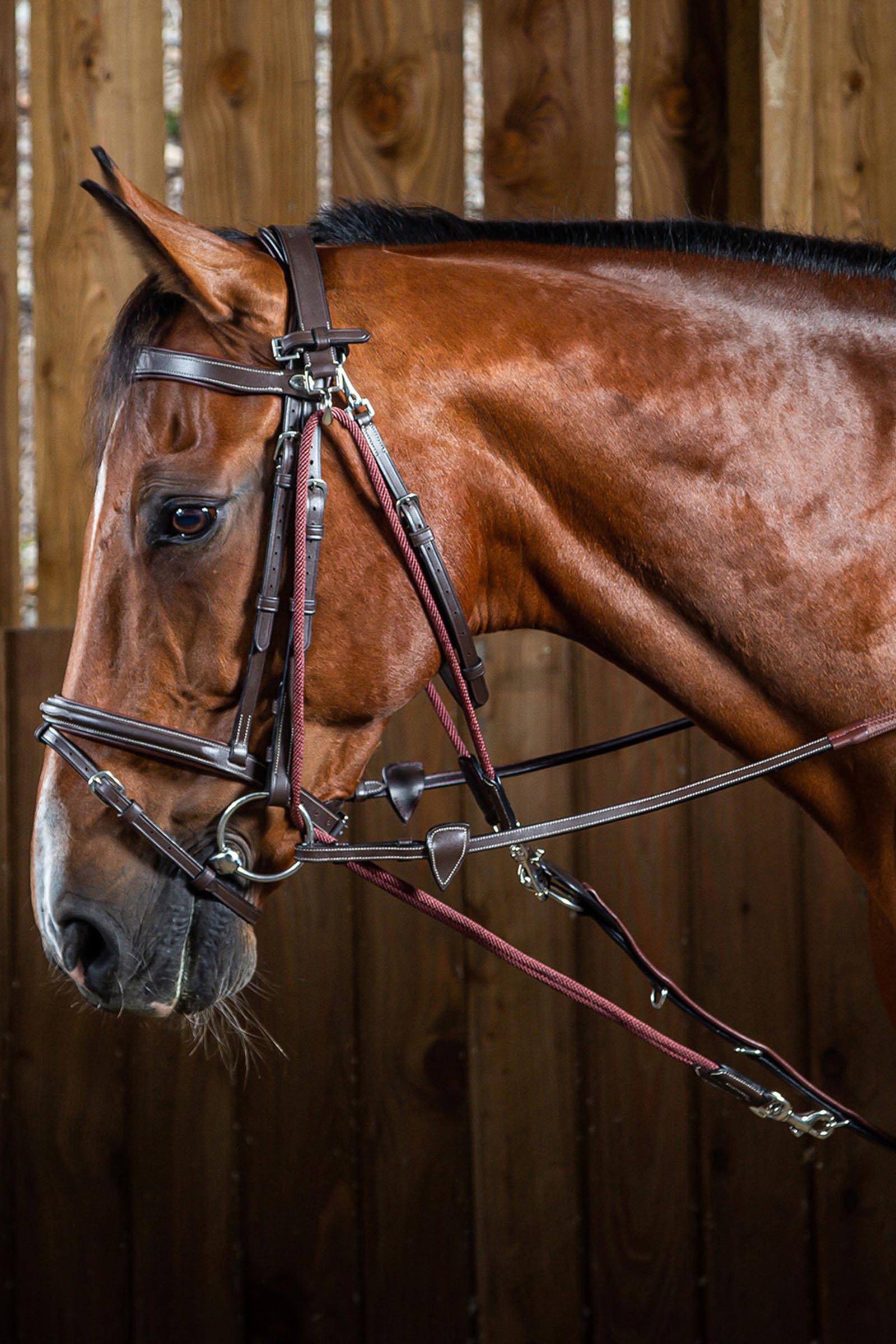 Dy'on Working gogue con cuerdas de nylon  