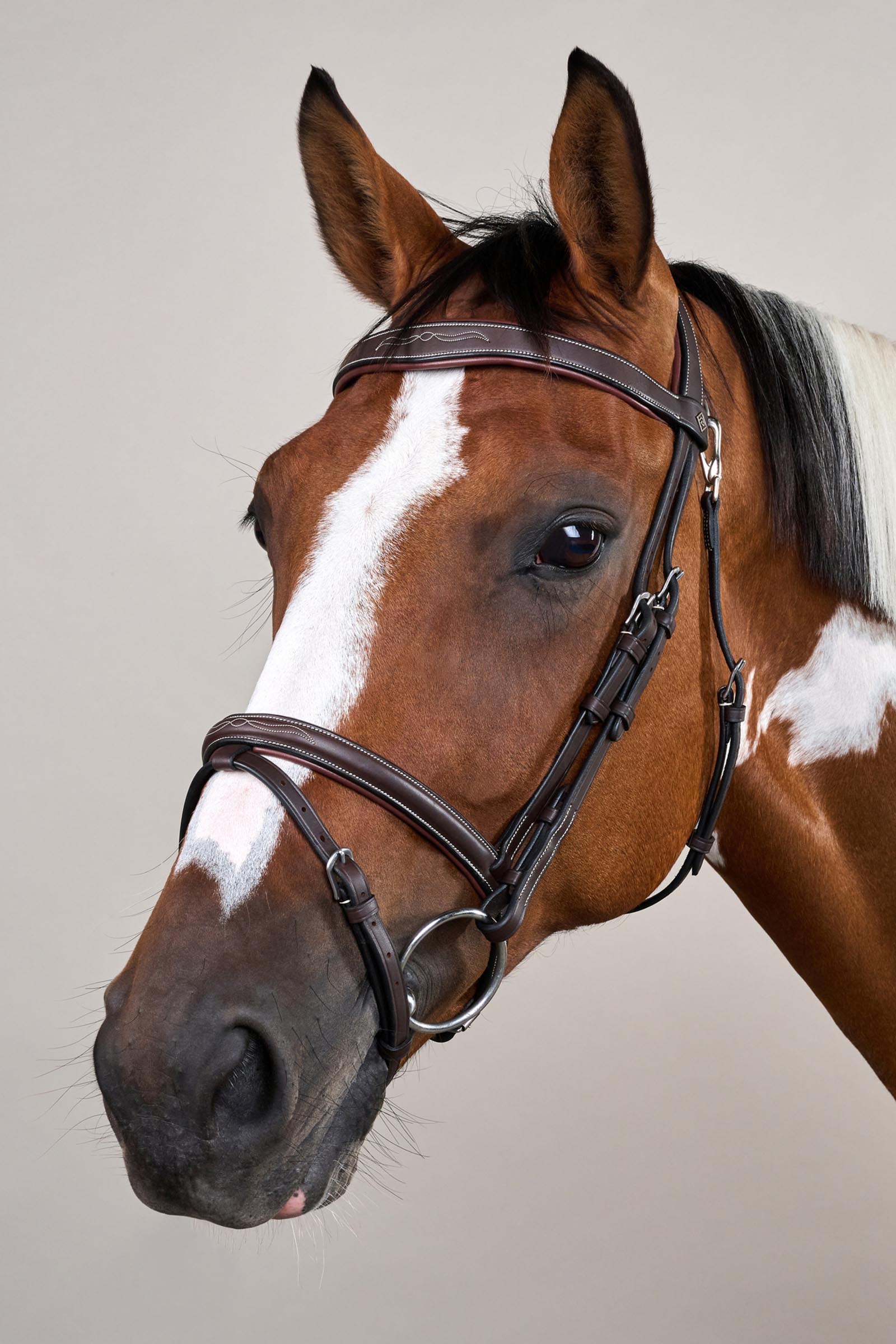 Dy'on Working cabezada con muserola combinada y mosquetones  