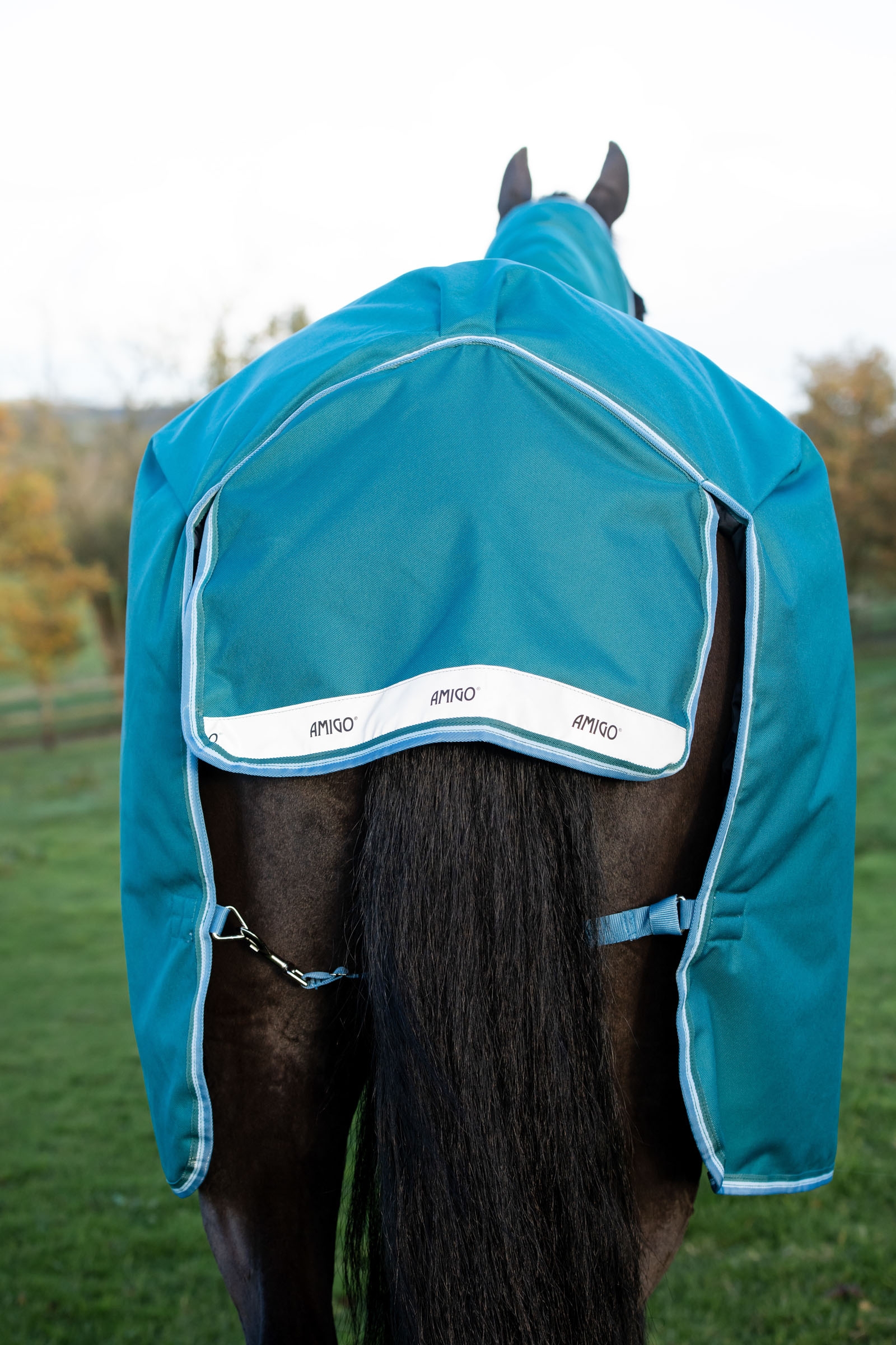Horseware Amigo Bravo 12 Plus manta de exterior con cuello desmontable, 400g