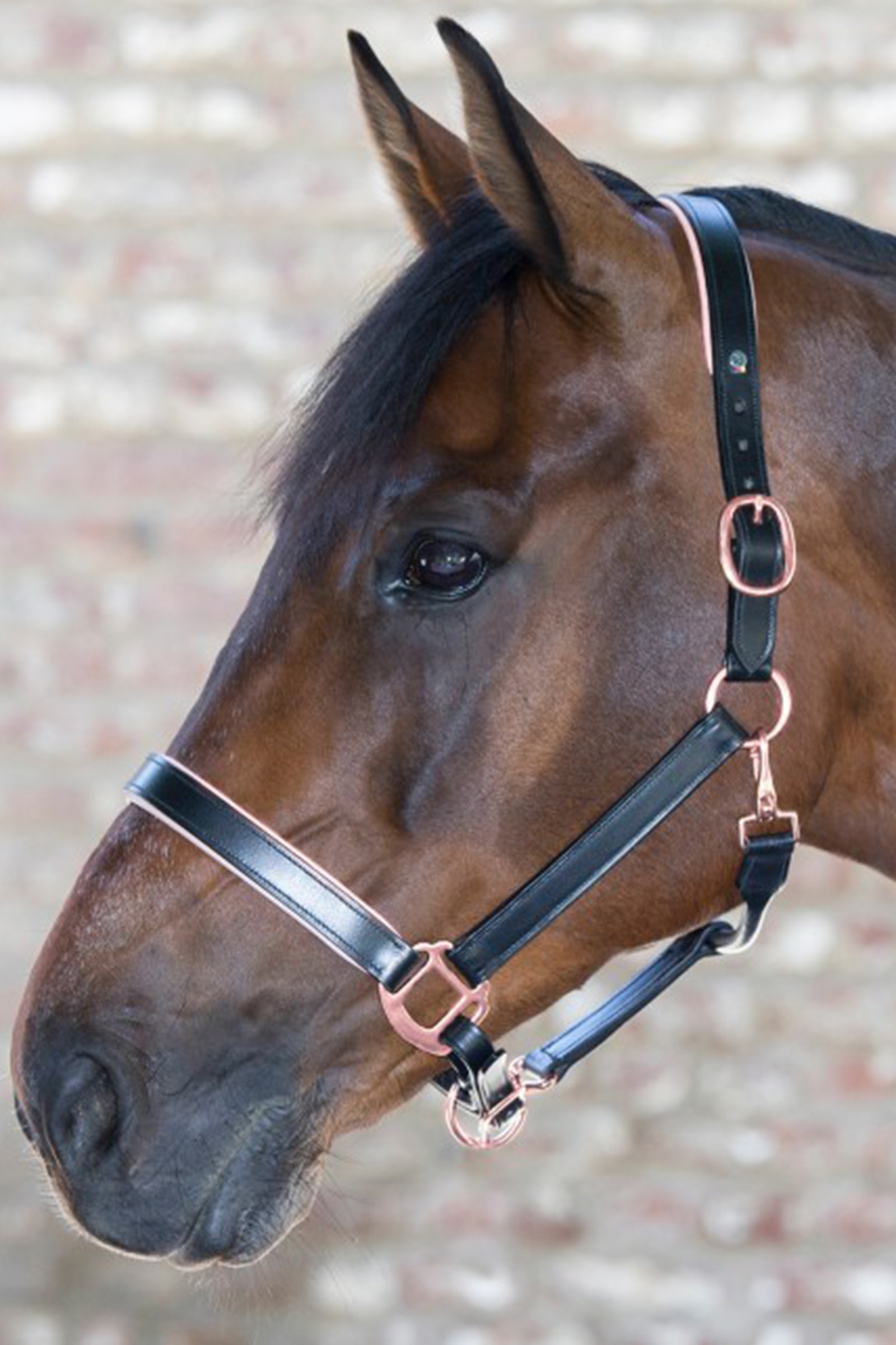 Waldhausen X-Line Cabezada De Cuero Ros&eacute;