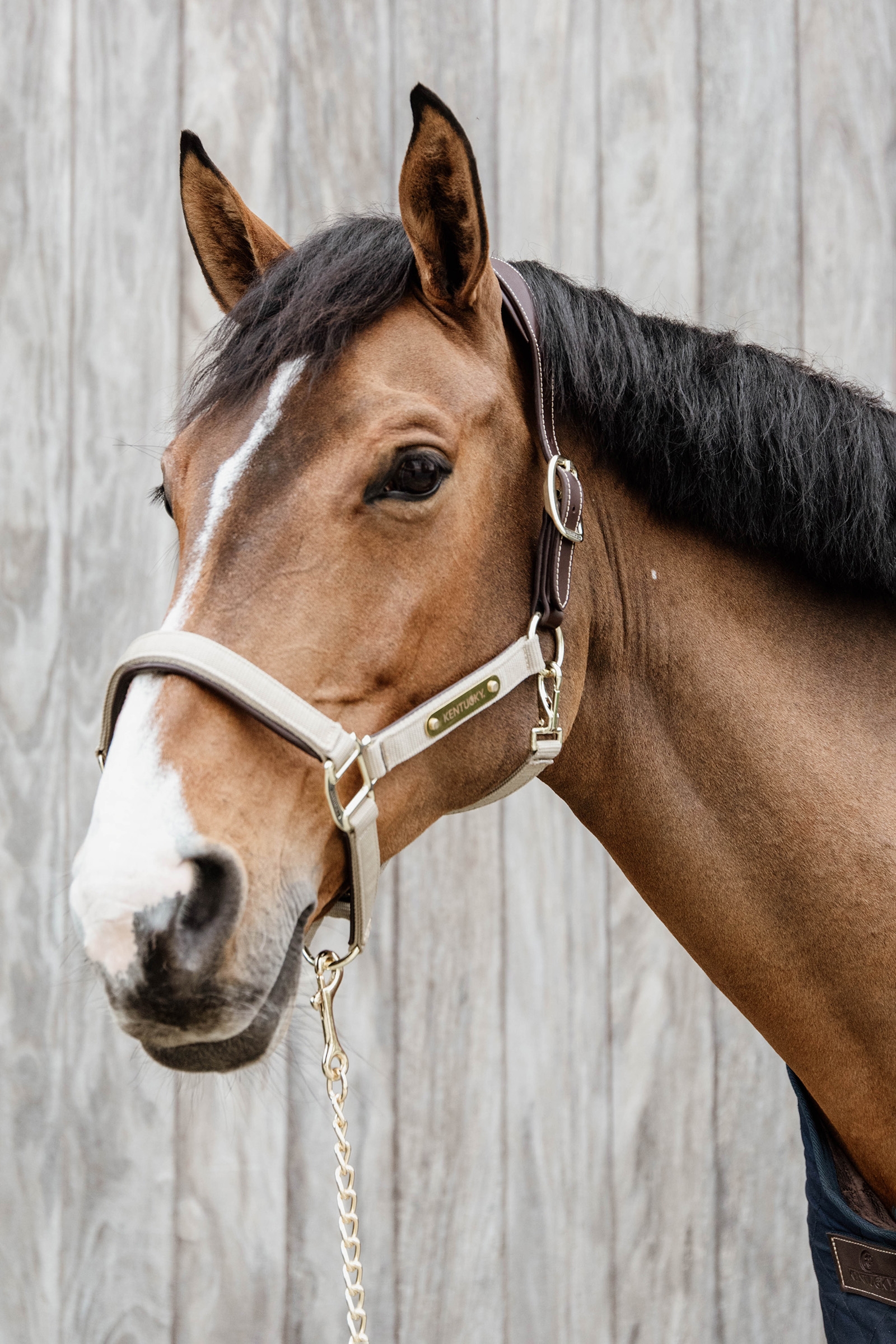 Cabezada de Cuadra Anatómica de Nylon Kentucky Horsewear