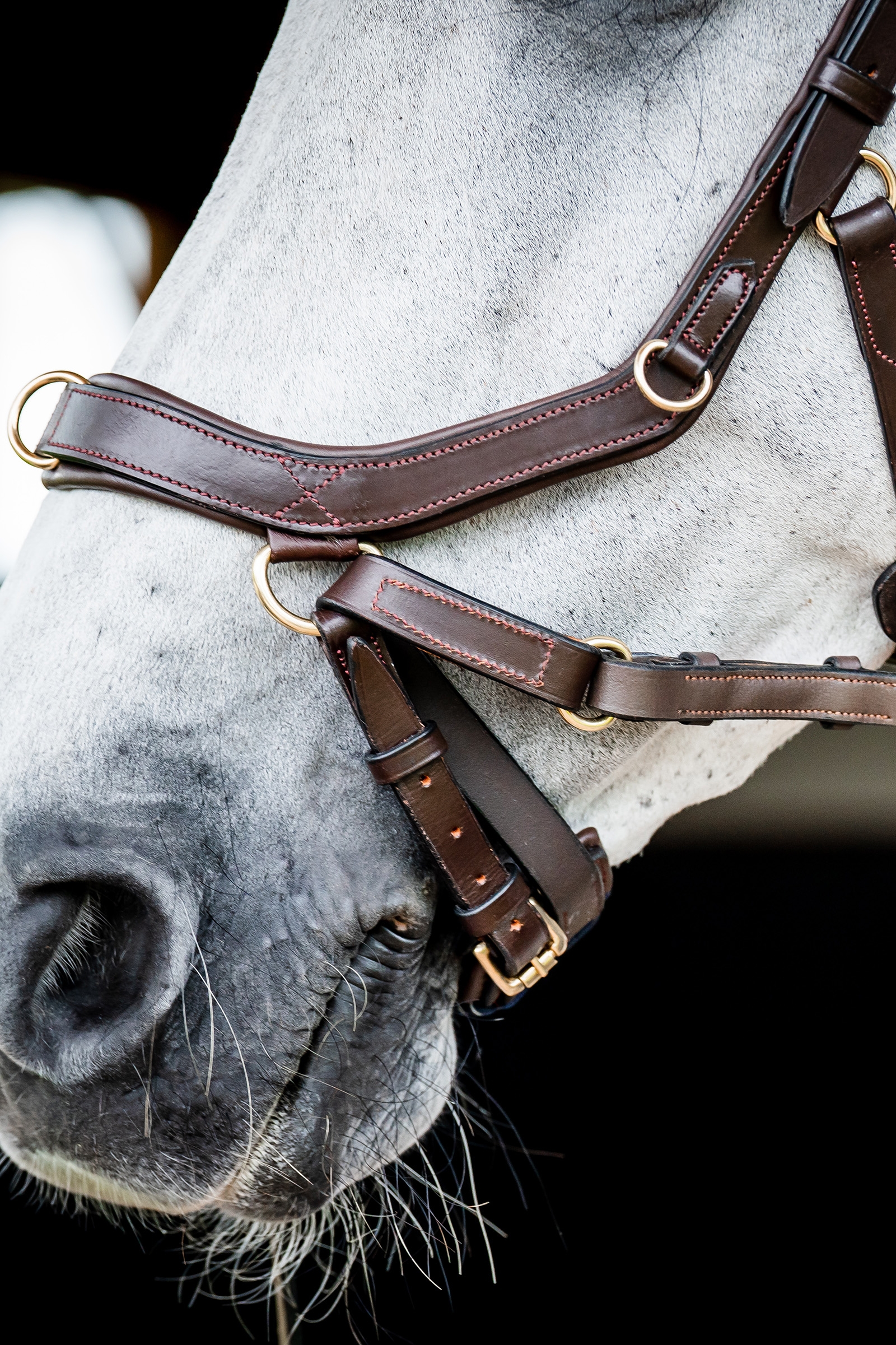 Horseware Micklem 2 Multi Cabezada