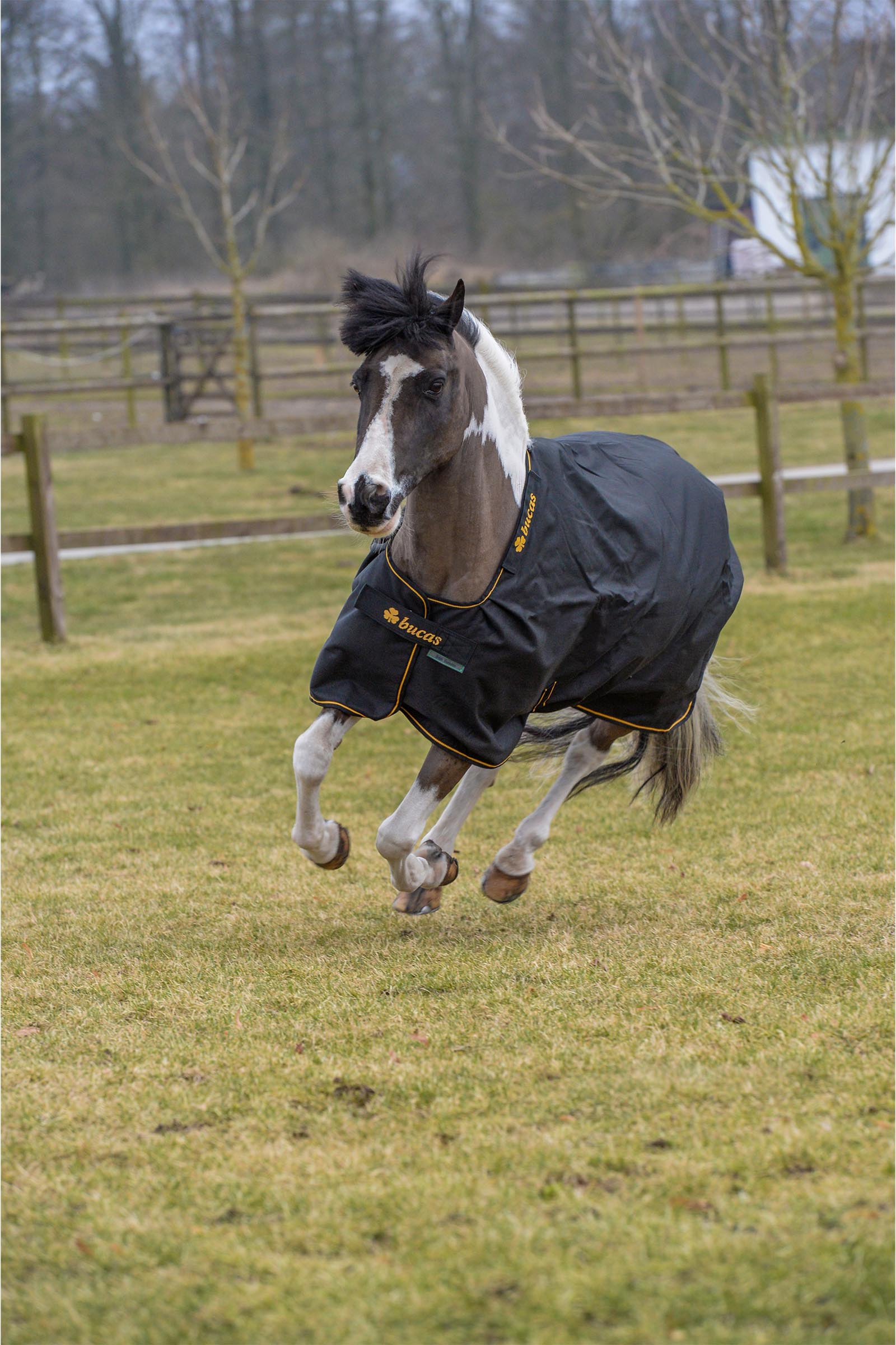 Bucas Irish manta de exterior, 100 g