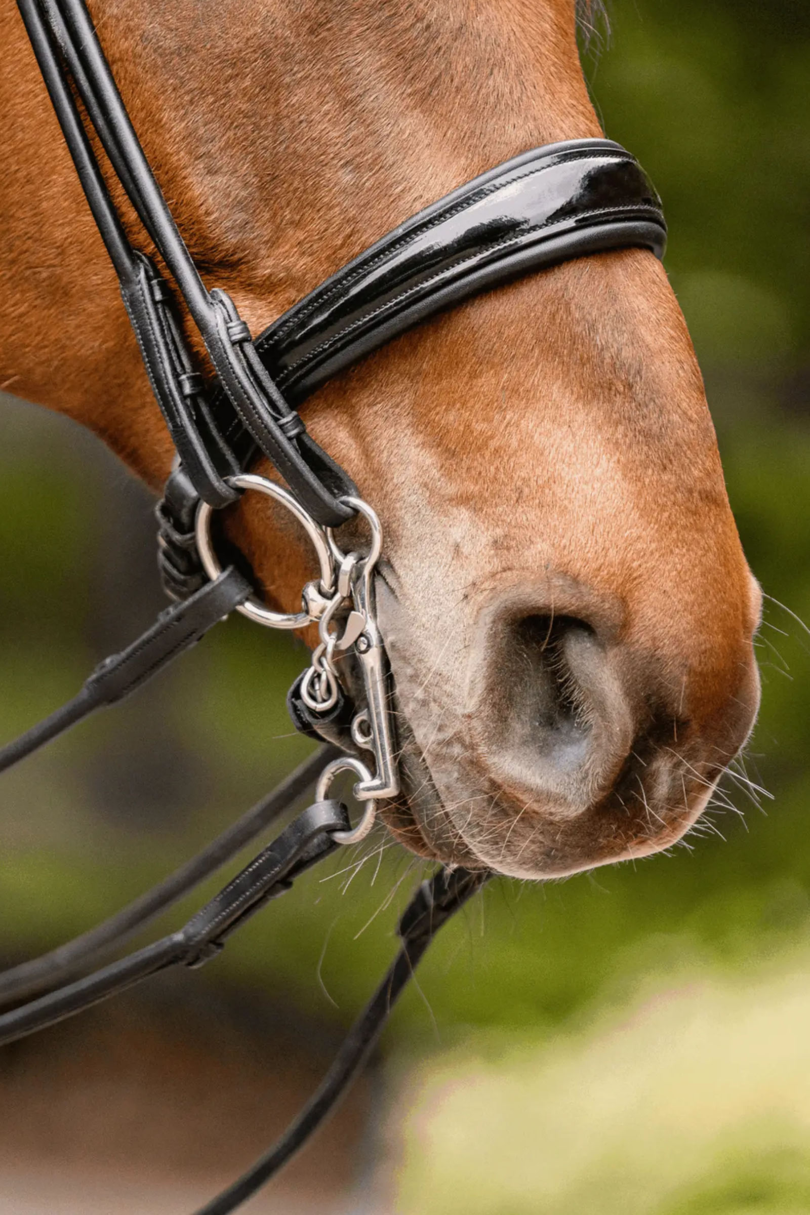 Sprenger Novocontact Weymouth 14mm Sensogan con ramas de acero inoxidable de 5cm