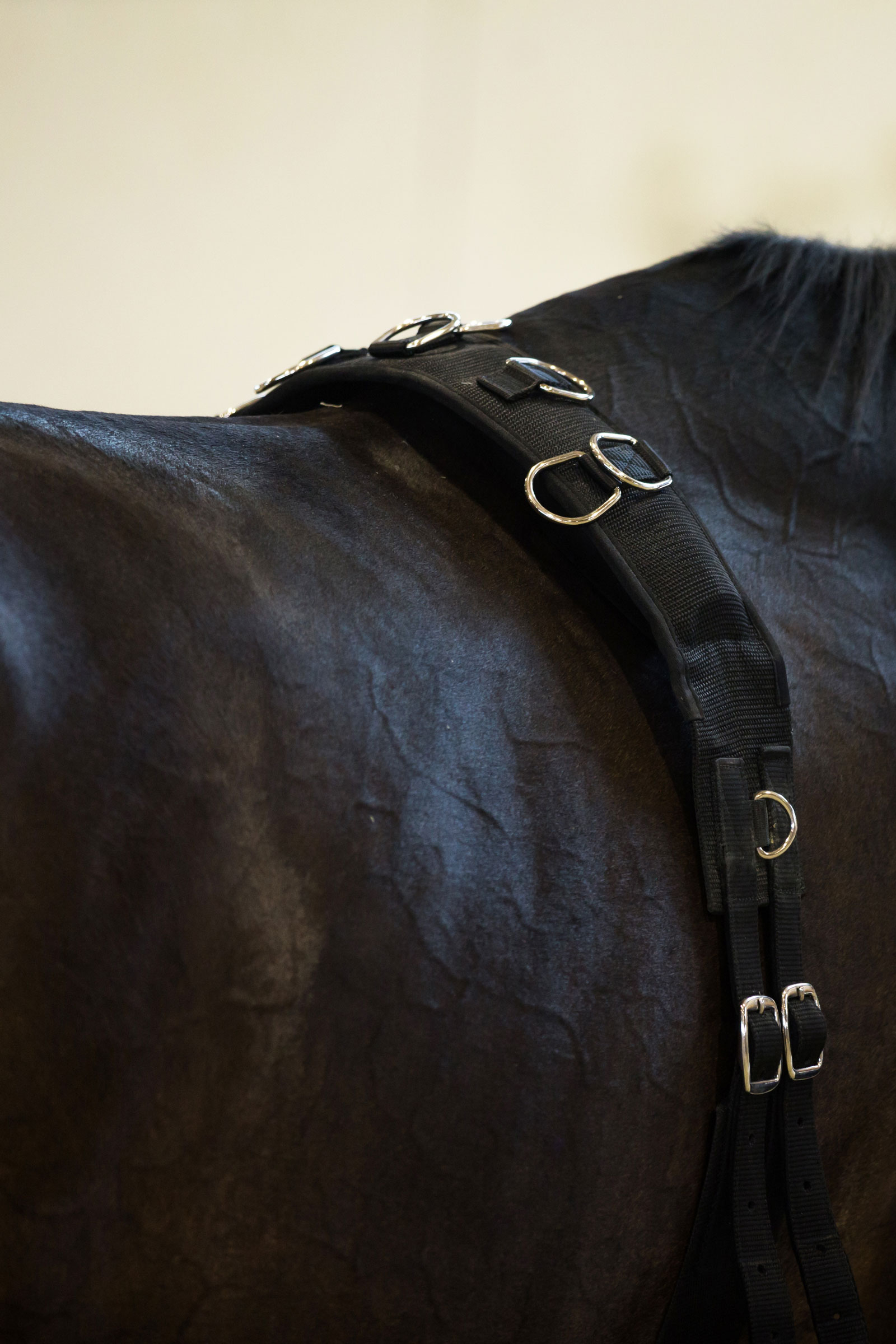 Cinchuelo de Trabajo a la Cuerda Horze, Nylon