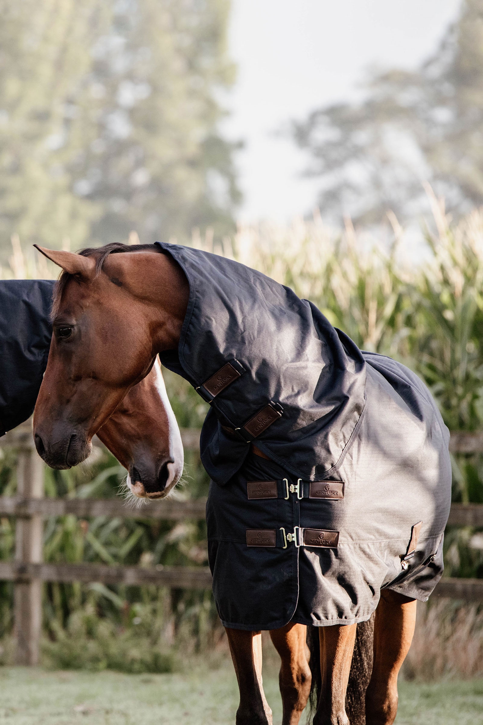 Kentucky Horsewear - Manta clásica impermeable para todo tipo de clima, 0 g