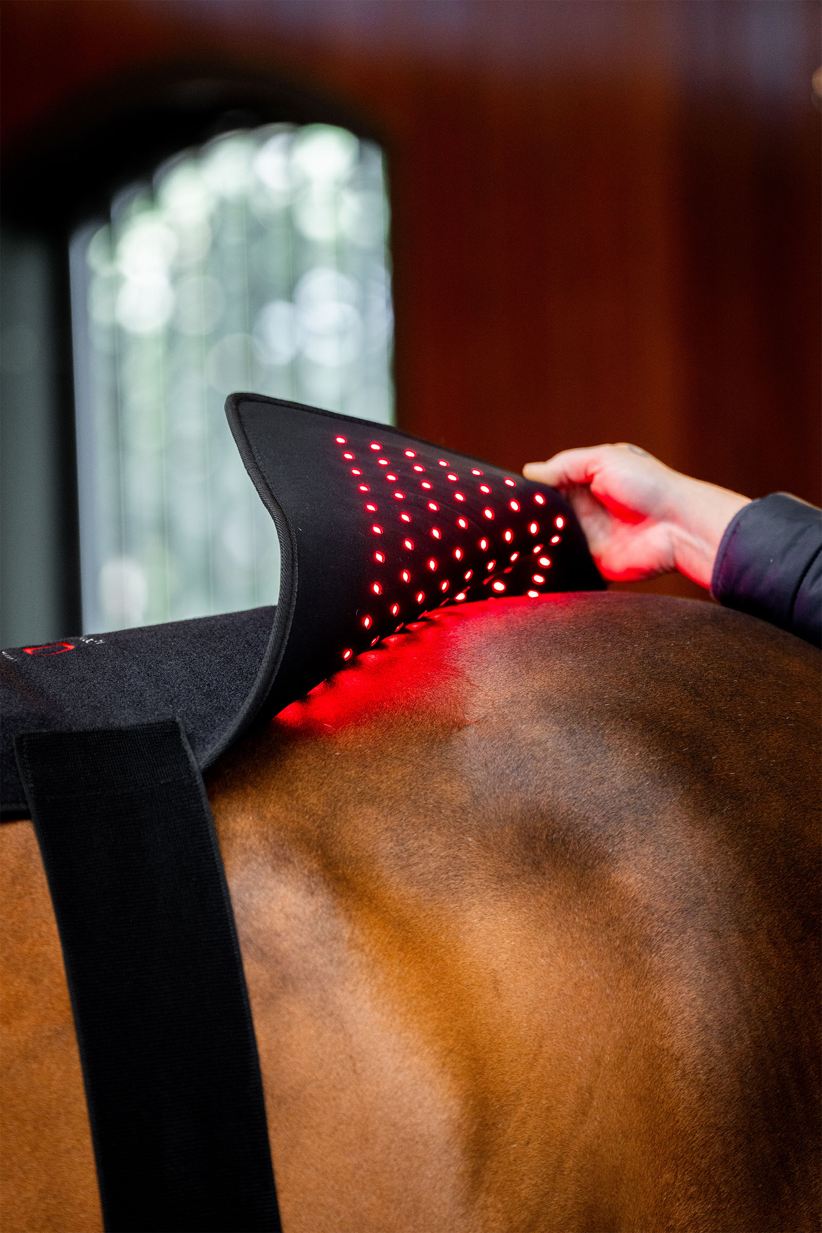 Horseware Pad terap&eacute;utico LED de luz roja