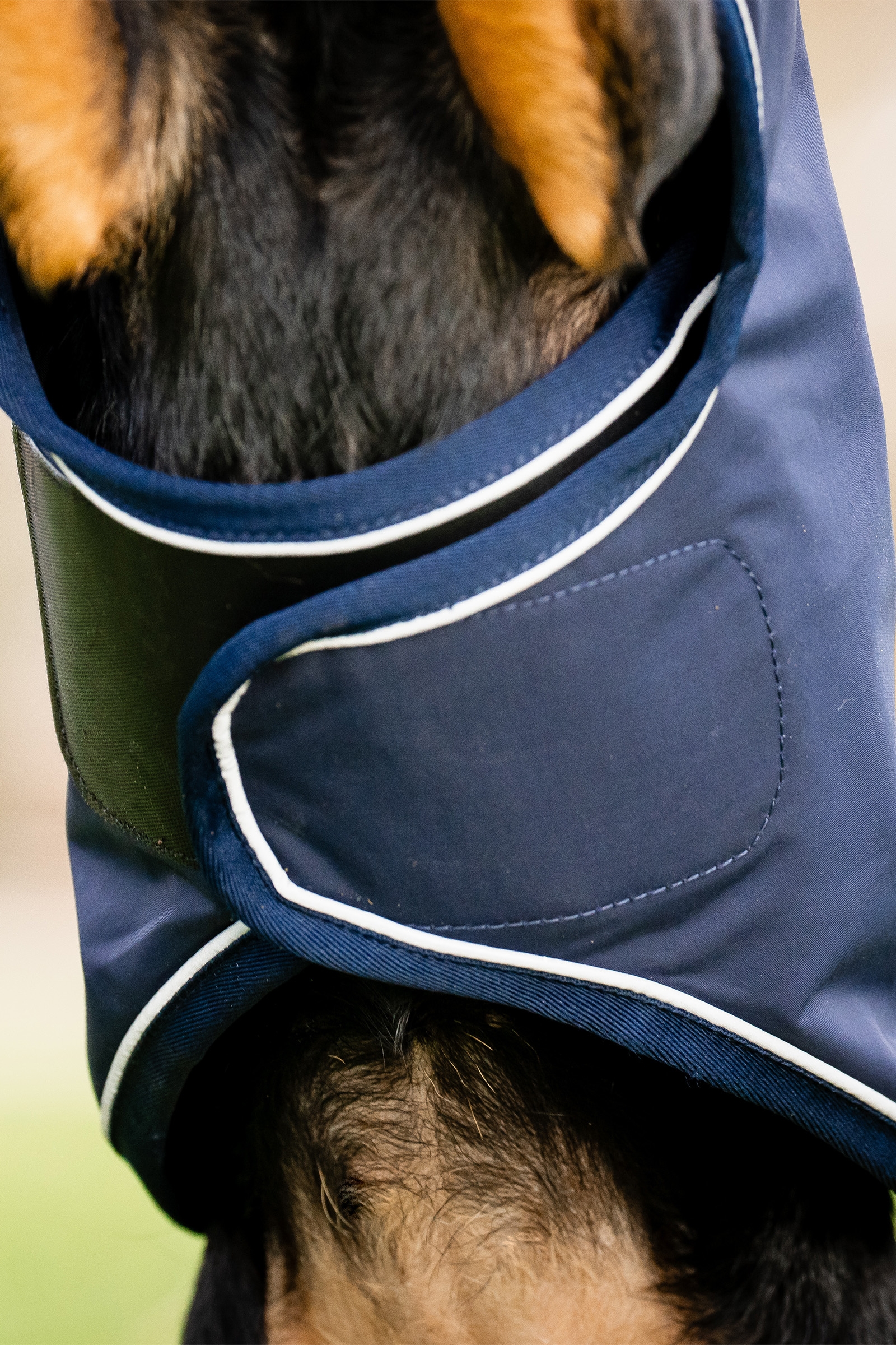 Capa de lluvia para perros Horseware Signature