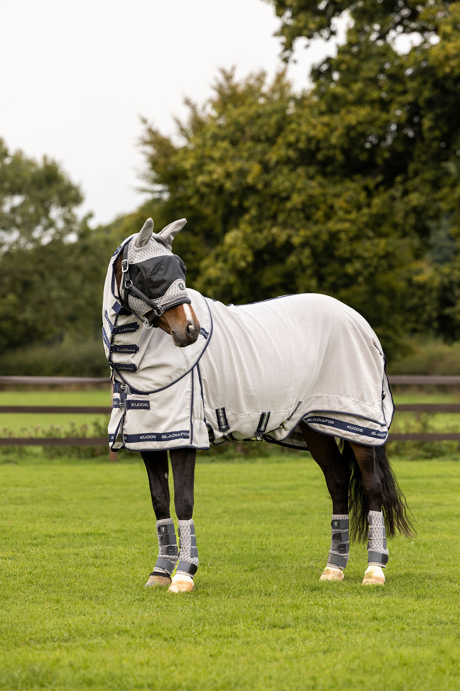 LeMieux Kudos Gladiator manta antimoscas