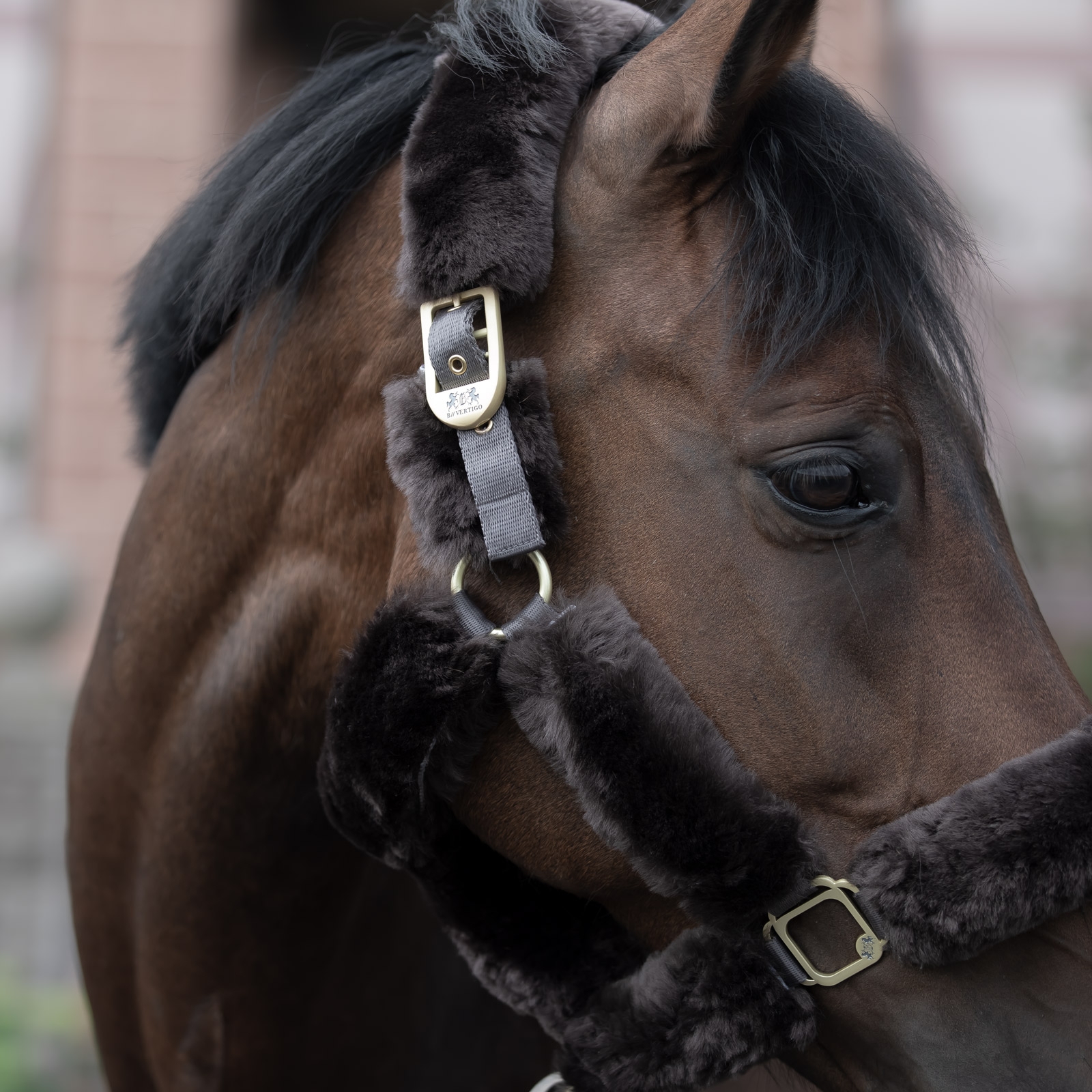 Cabezada de Cuadra con Piel de Cordero B Vertigo Tremblant