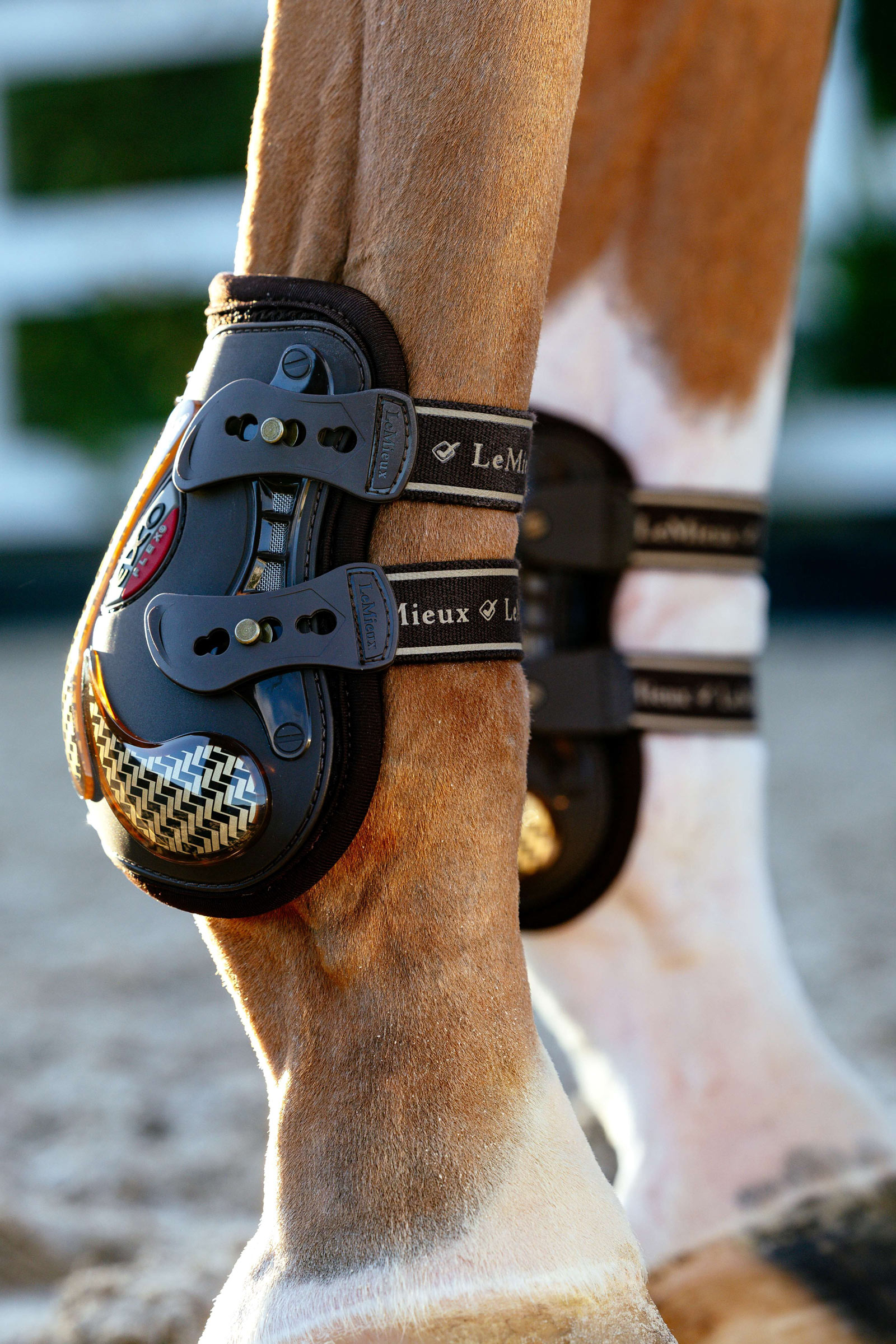 Botines LeMieux EXO Flex