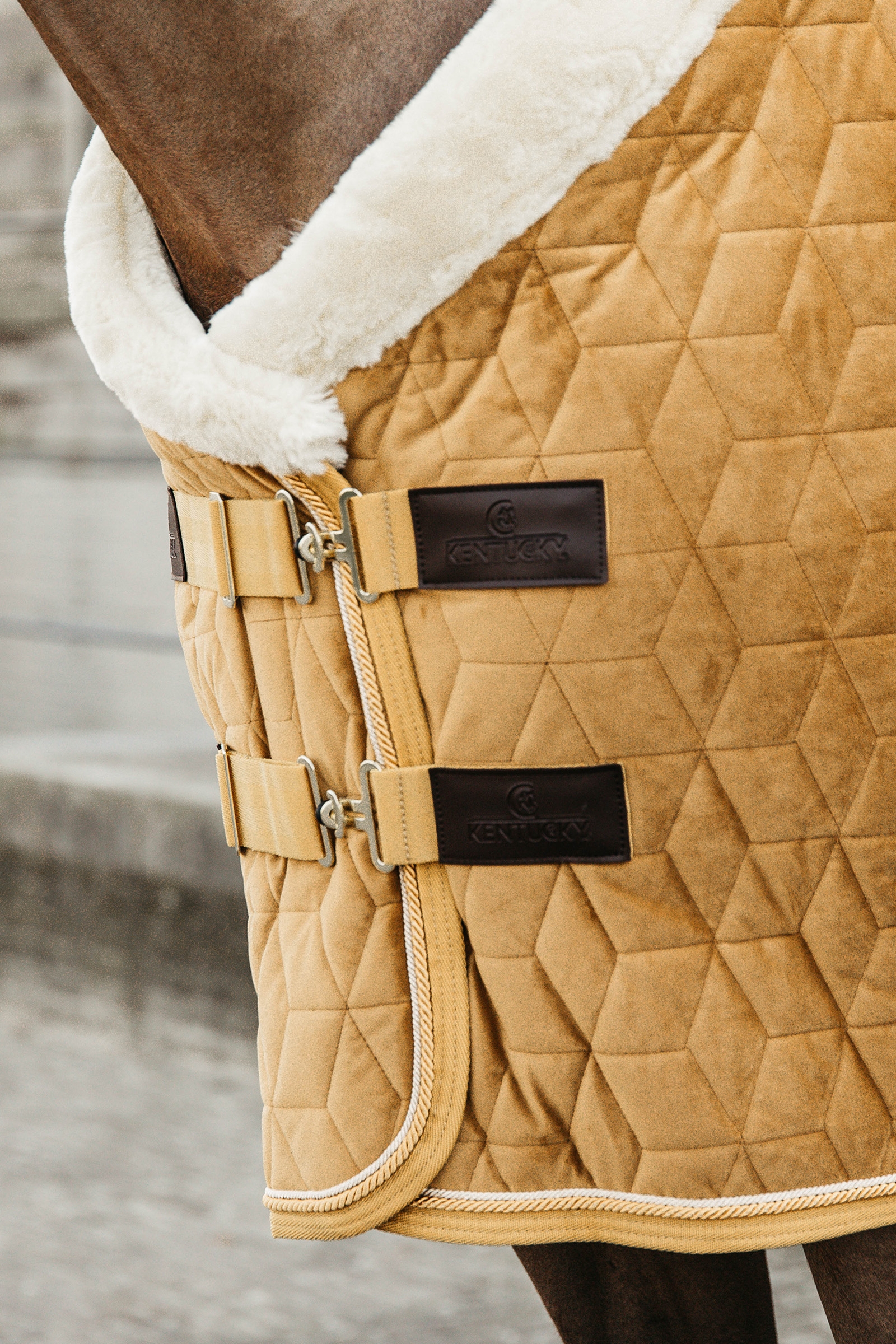 Manta de Concurso de Terciopelo para Poni Kentucky Horsewear, 160g