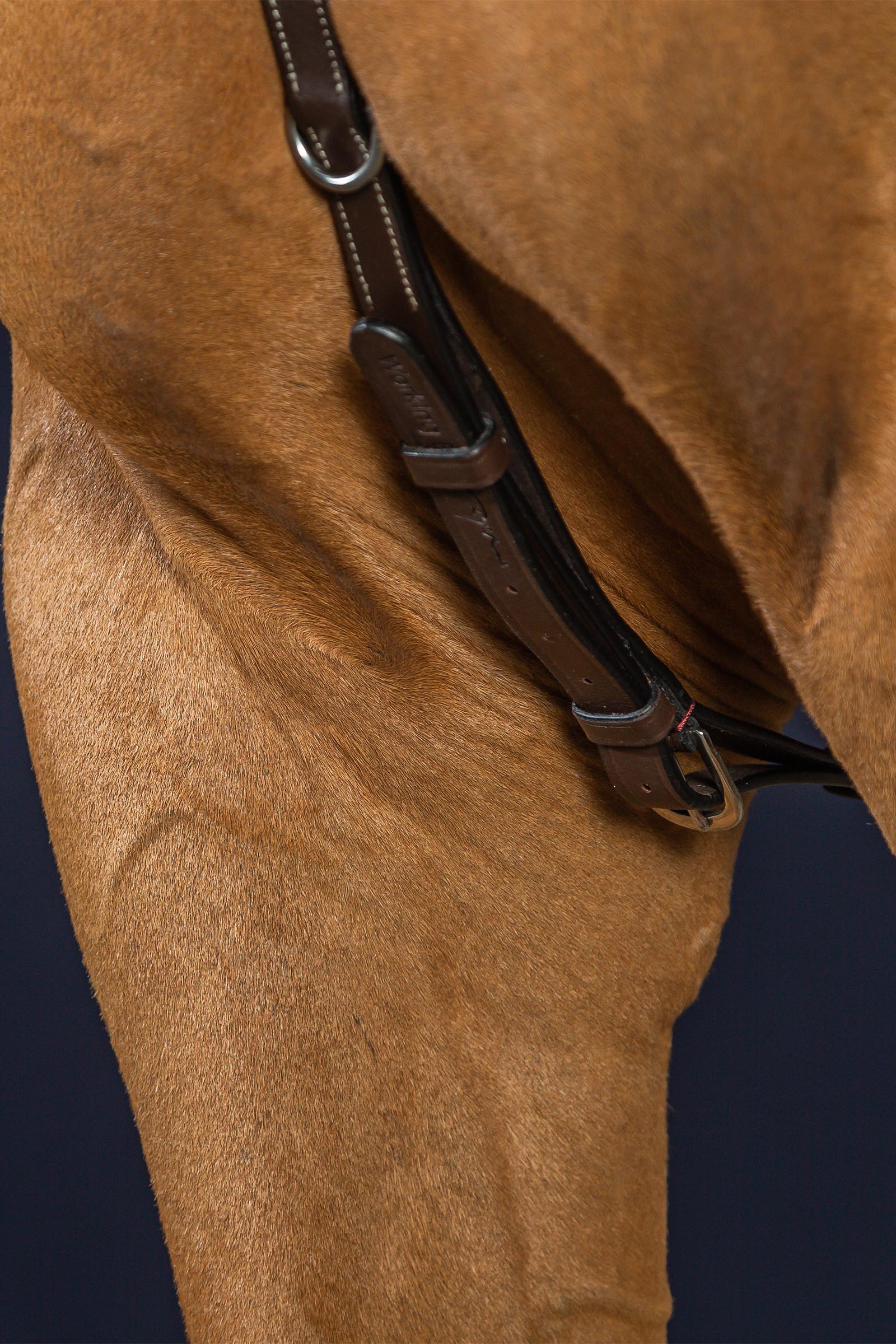 Dy'on Working pechopetral con puente