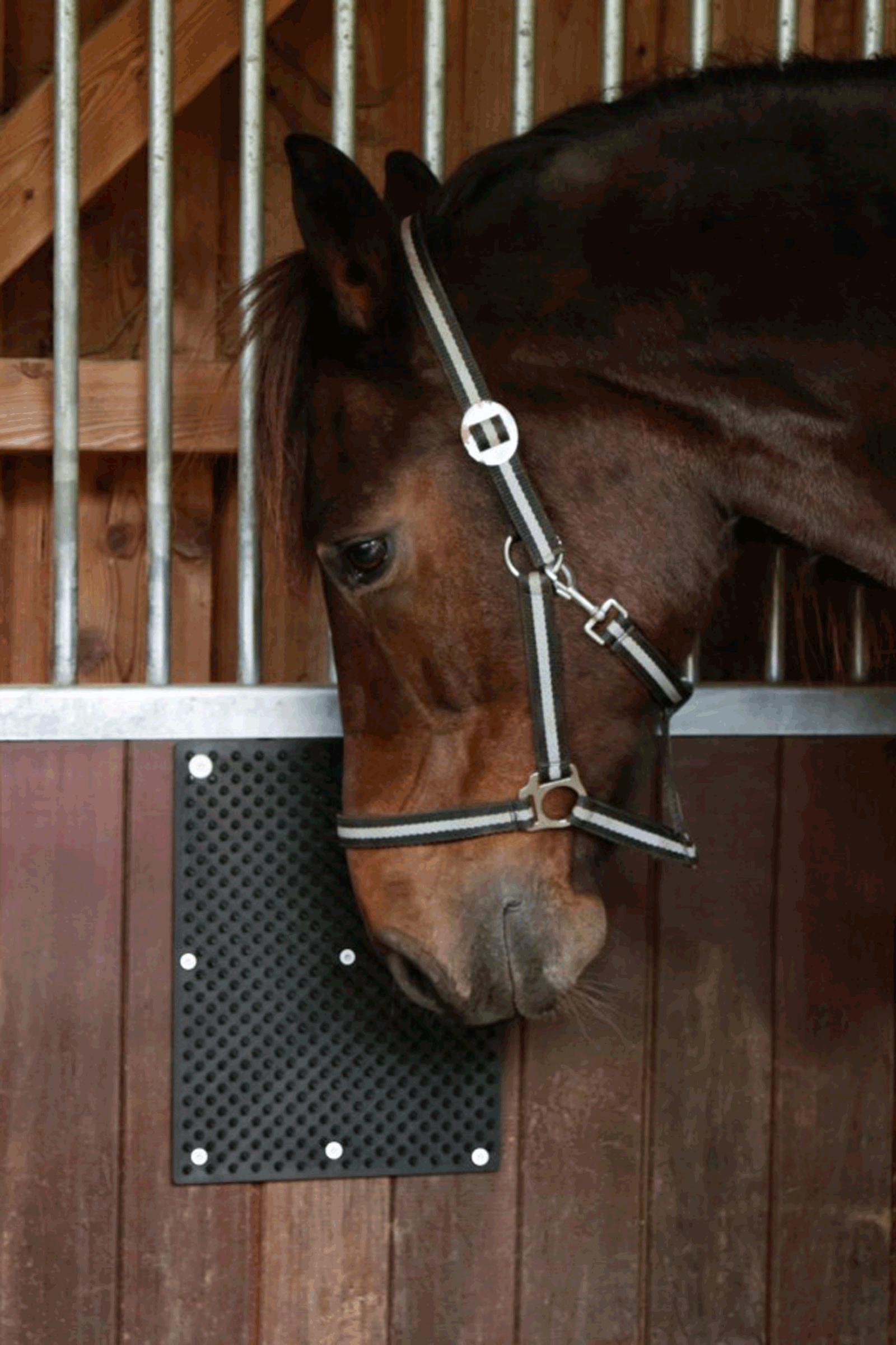 Kerbl Alfombrilla Rascador