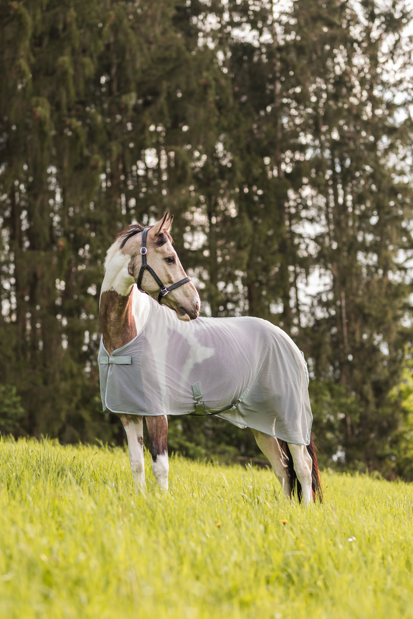 Manta Anti-Mosca Horze Orleans