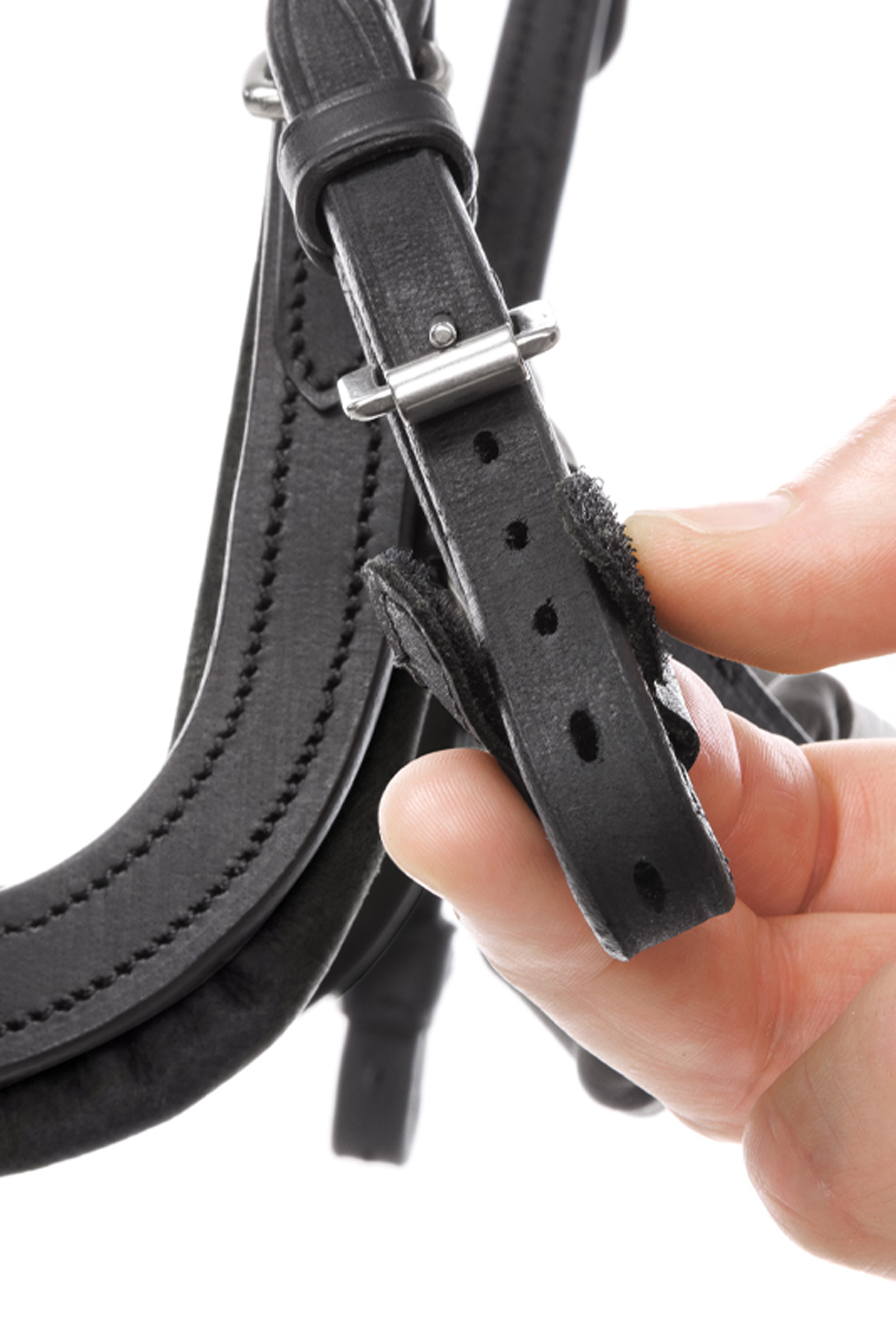 Kavalkade Caliano Brida Inglesa