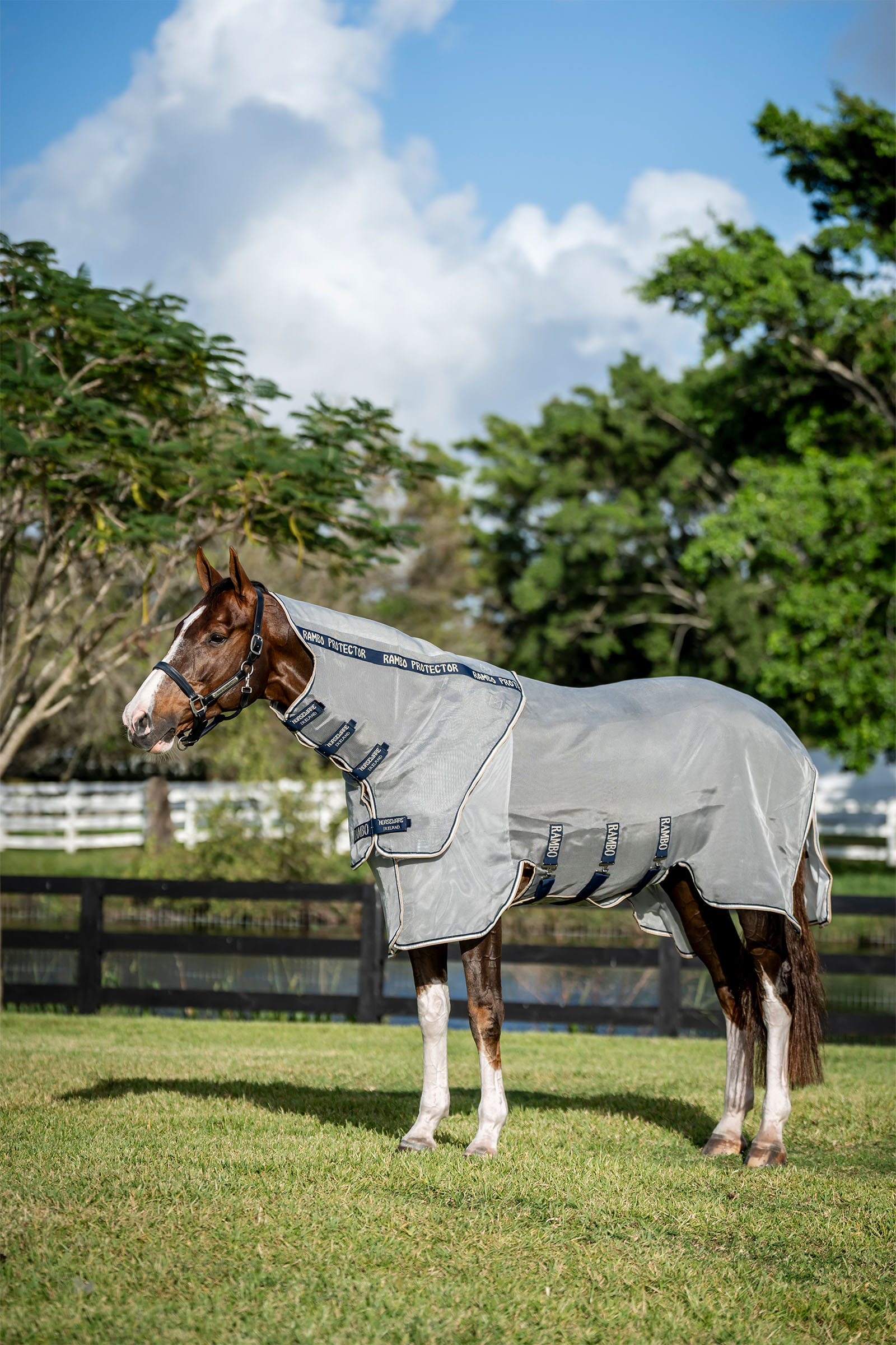 Horseware Rambo Protector Fieldsafe Plus manta