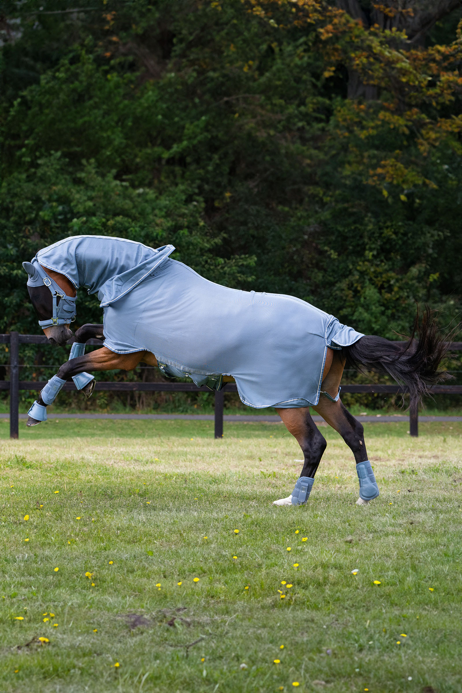 Eskadron Classic Sports SS25 Fly Detach-Neck manta antimoscas