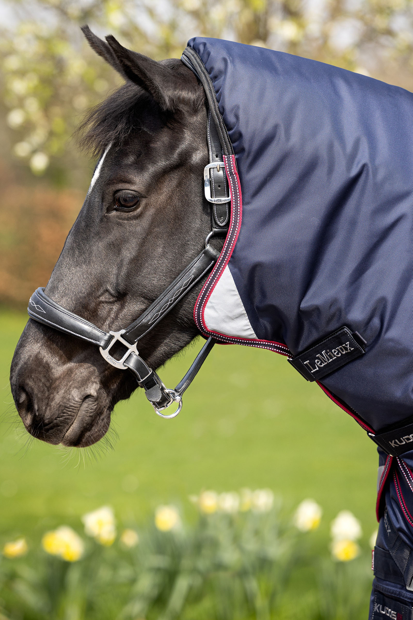 LeMieux Kudos Thermo Layer manta de exterior 100g