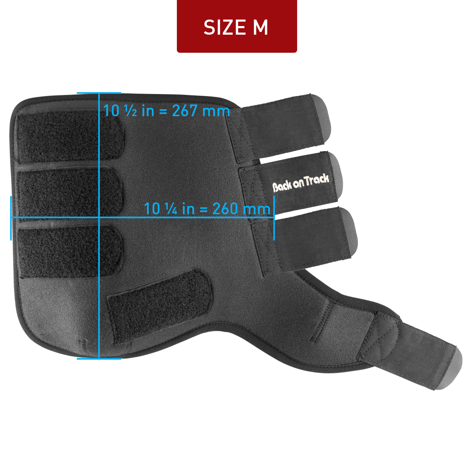 Protectores de Trabajo Back On Track, Delanteros