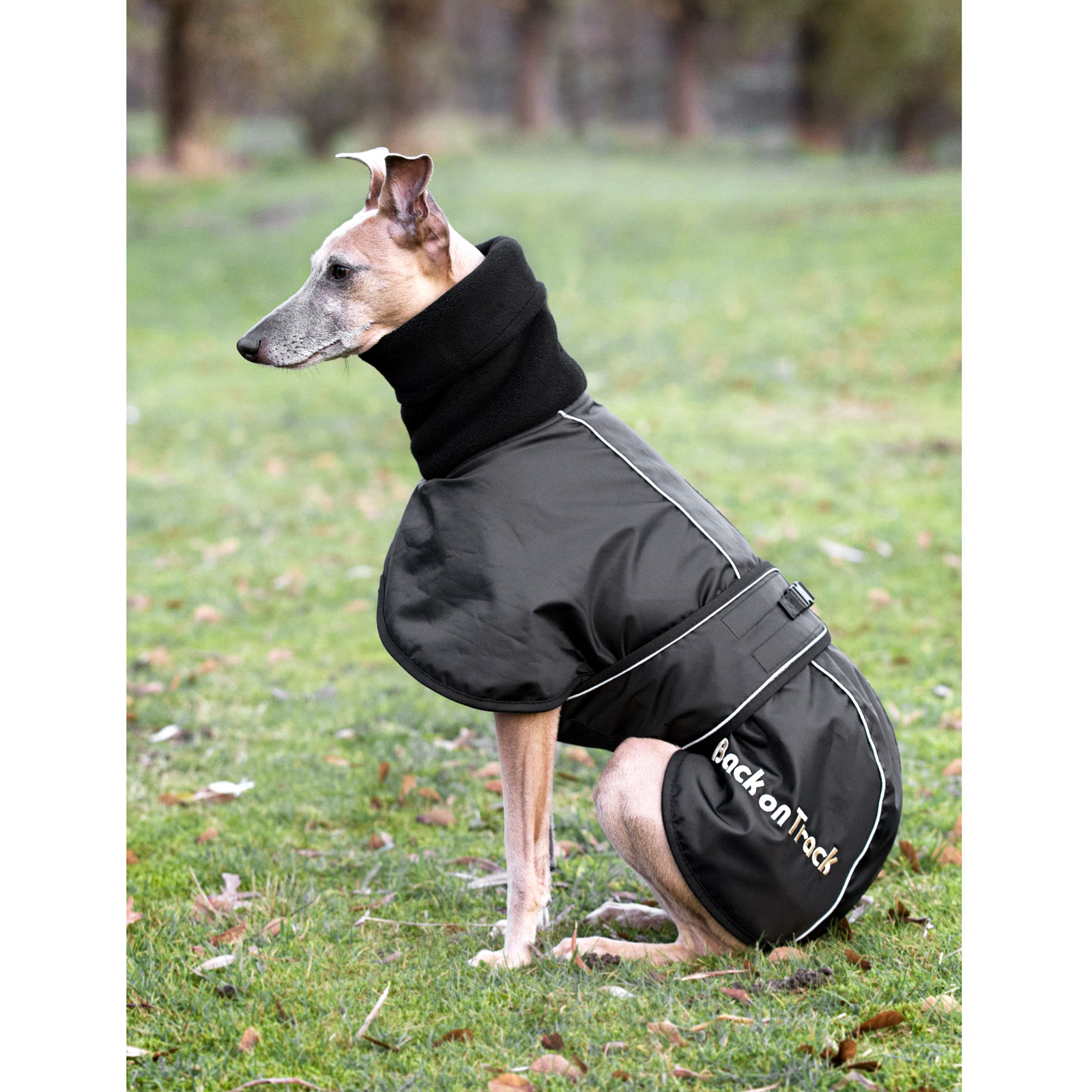Manta para Perro Galgo Inglés Back on Track, L-XXL