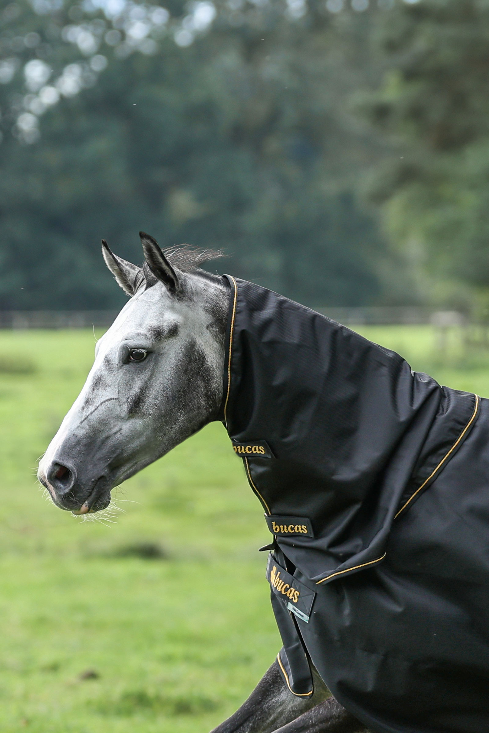 Bucas Irish Turnout cubre cuello, 0g