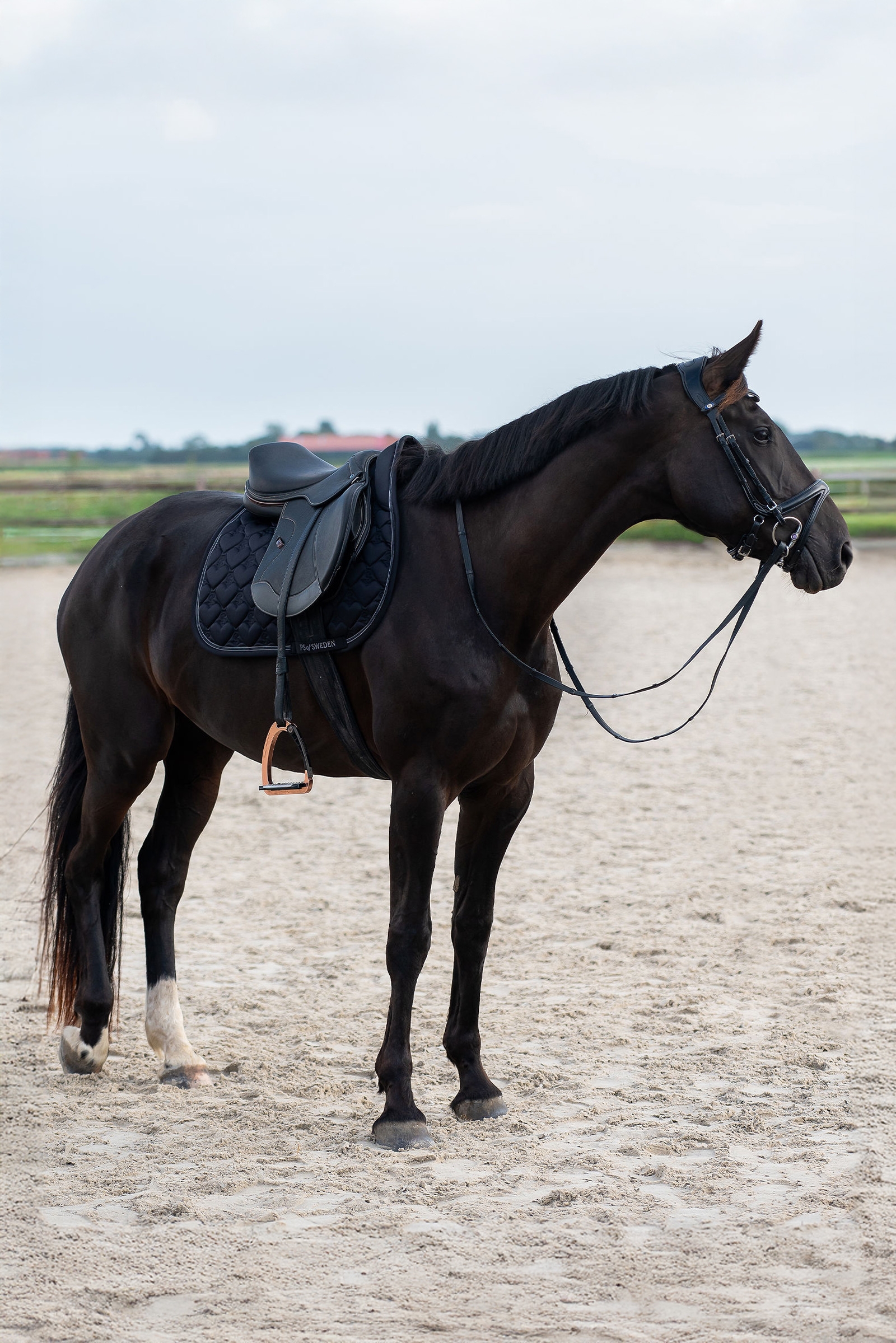 PS of Sweden coraz&oacute;n sudadero de salto