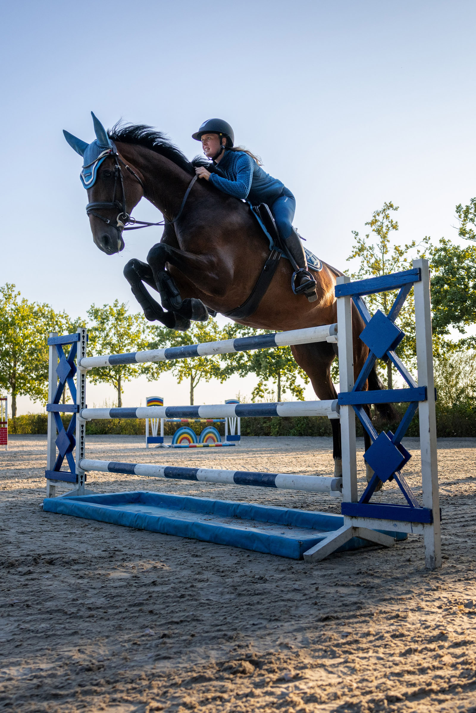 B Vertigo Darcey Chaqueta de equitación de forro polar 