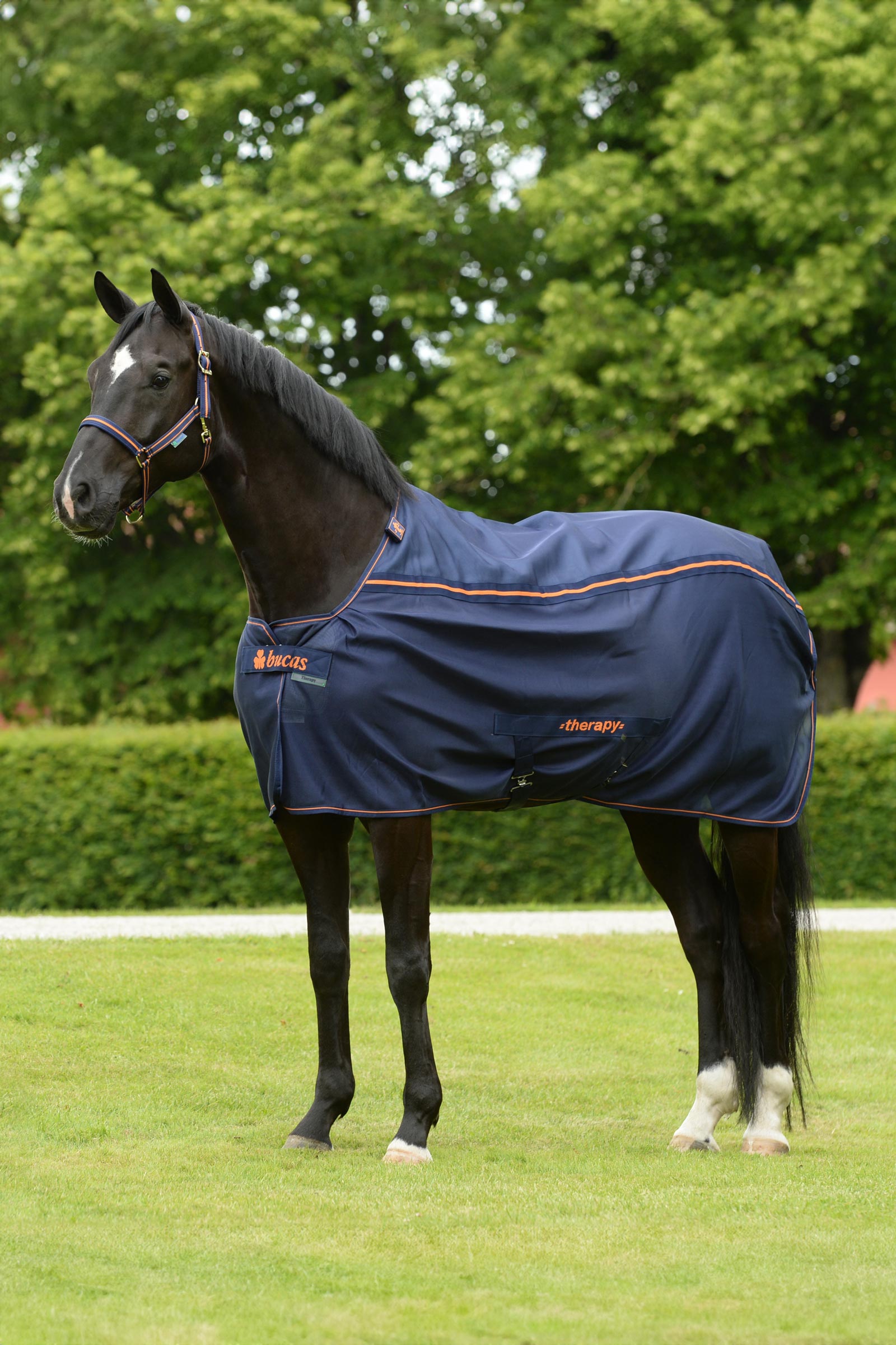 Bucas Therapy Mesh Manta de Secado