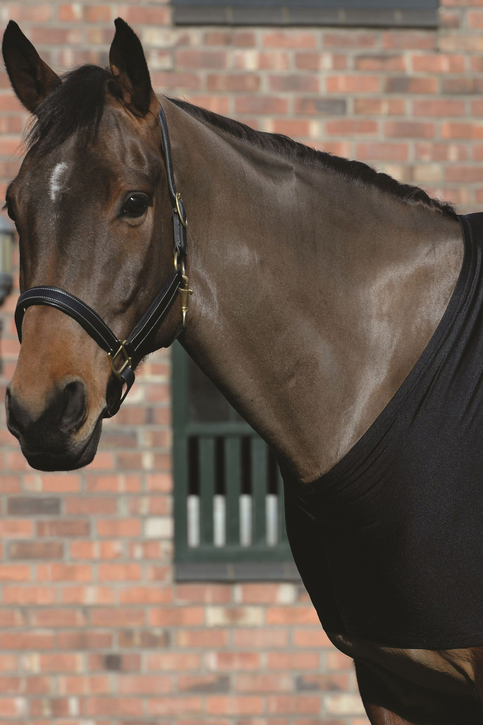 Hombreras elásticas Weatherbeeta