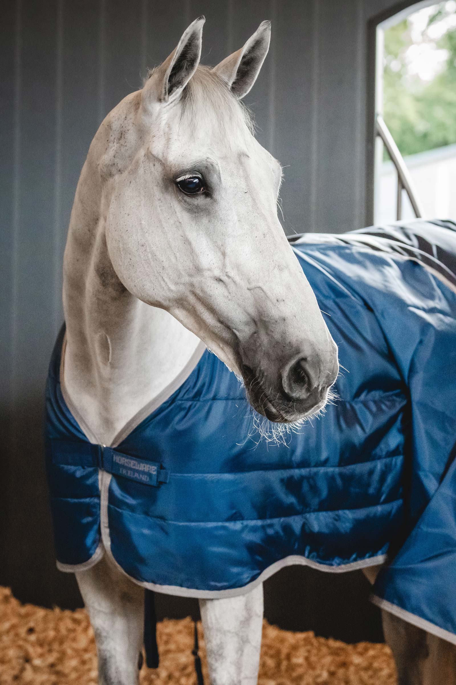 Horseware Ionic Therapy Revestimiento 50g