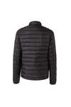 Chaqueta Acolchada Ligera para Hombre Horze