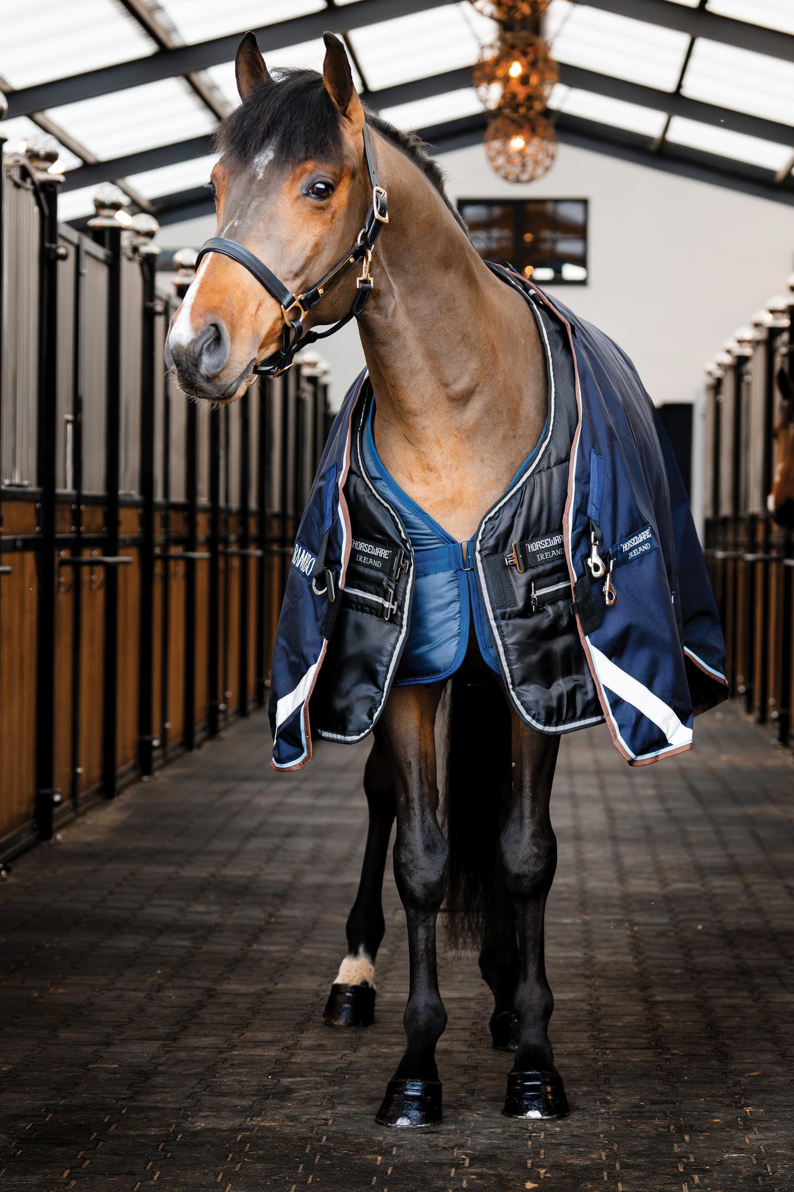 Horseware Easy-Layer manta de establo 100g