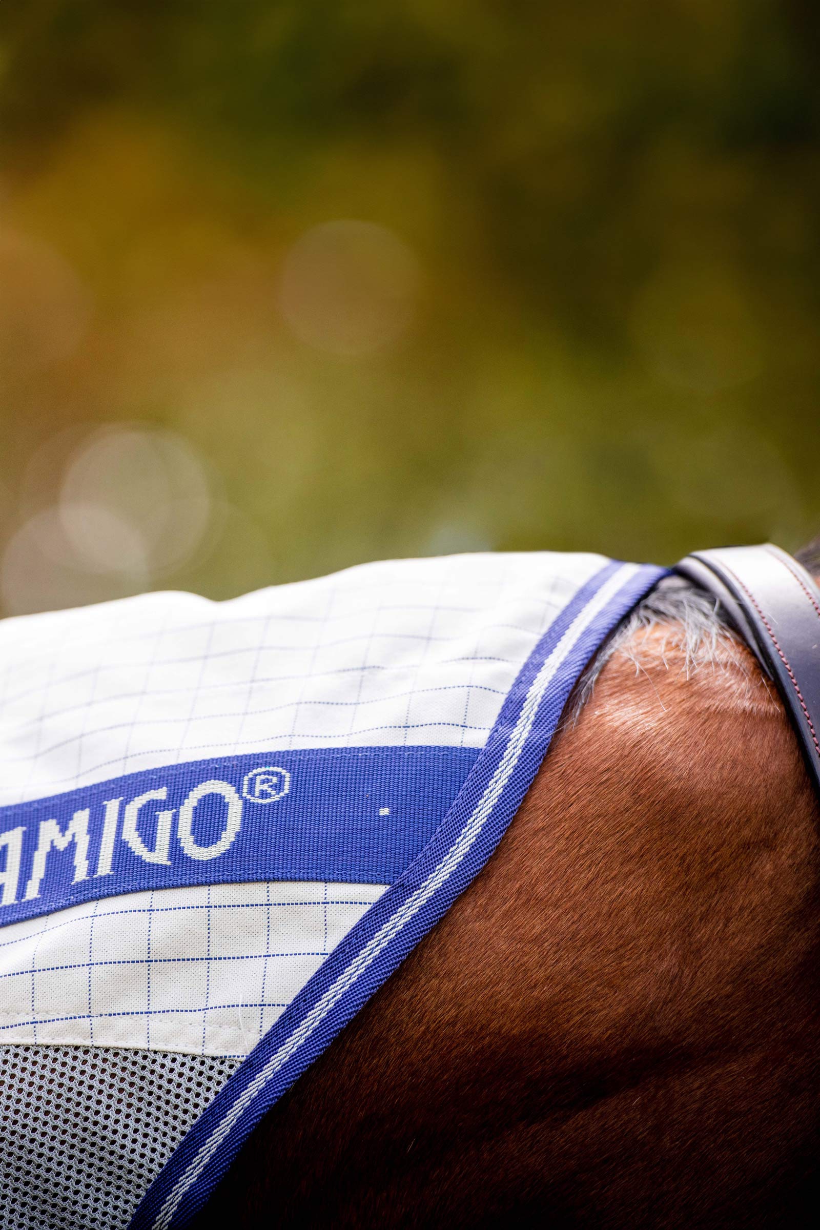 Horseware Amigo Airflow manta antimoscas con cuello desmontable