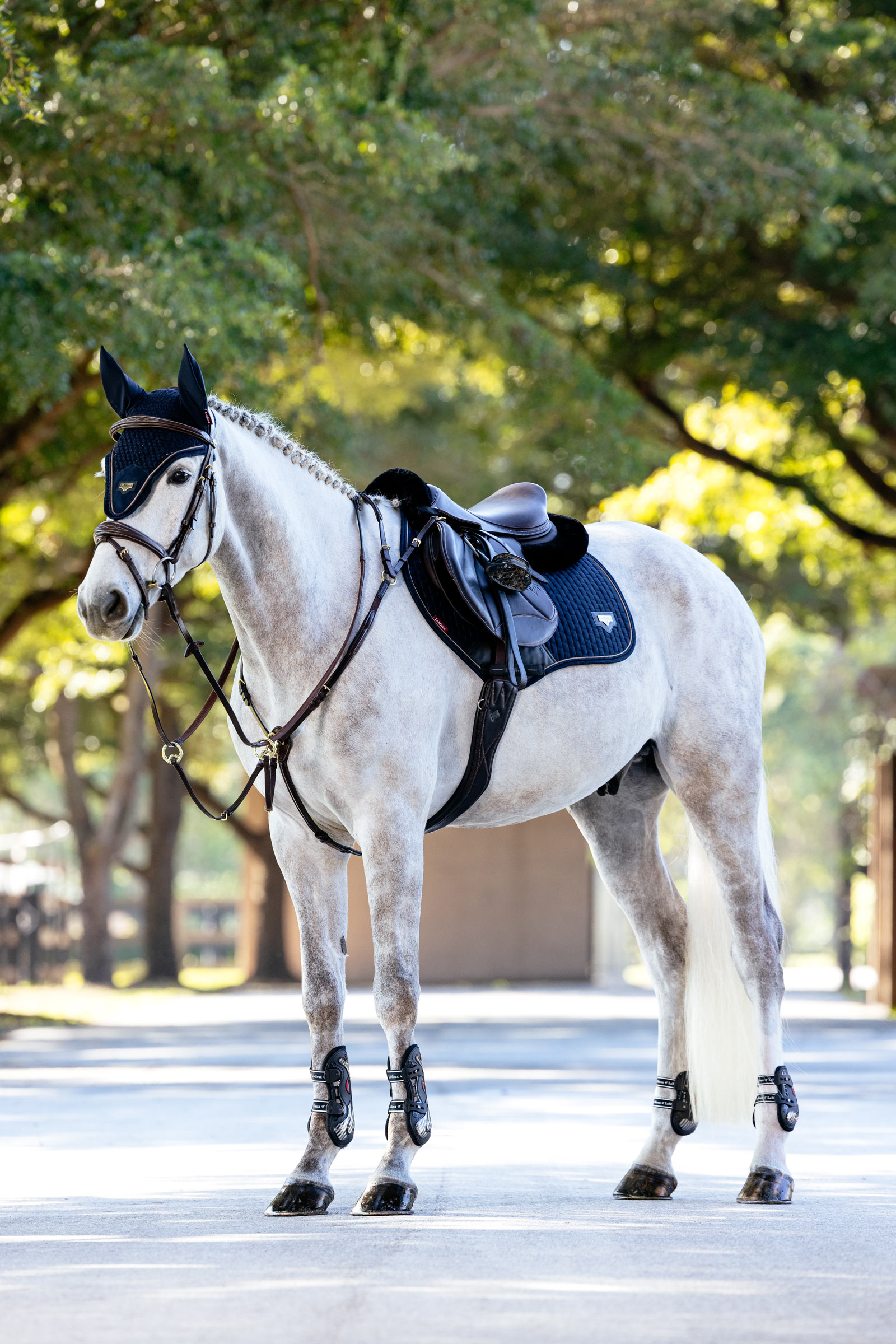 LeMieux Puissance Close Contact mantilla de salto de antelina
